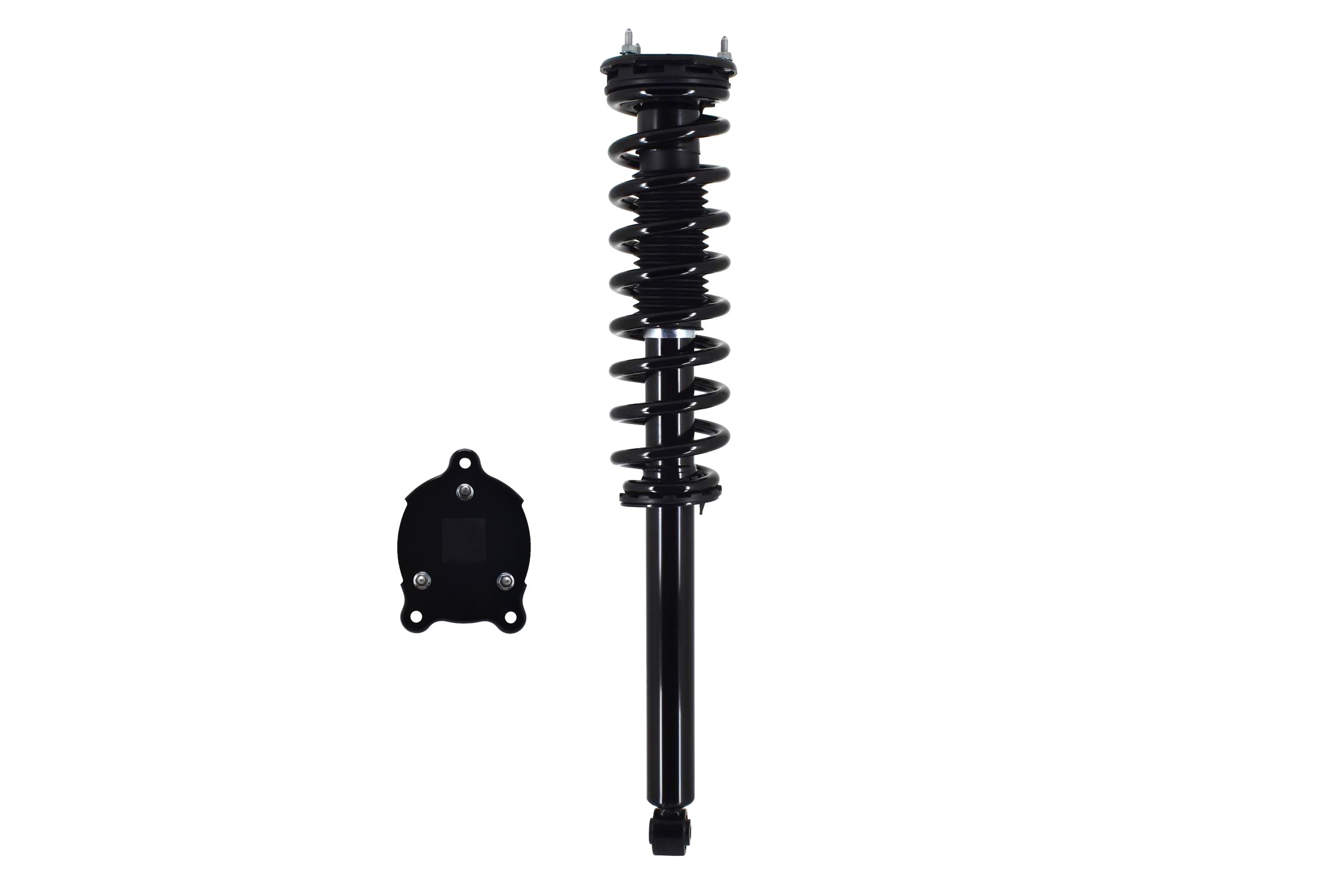 Suspension Strut and Coil Spring Assembly