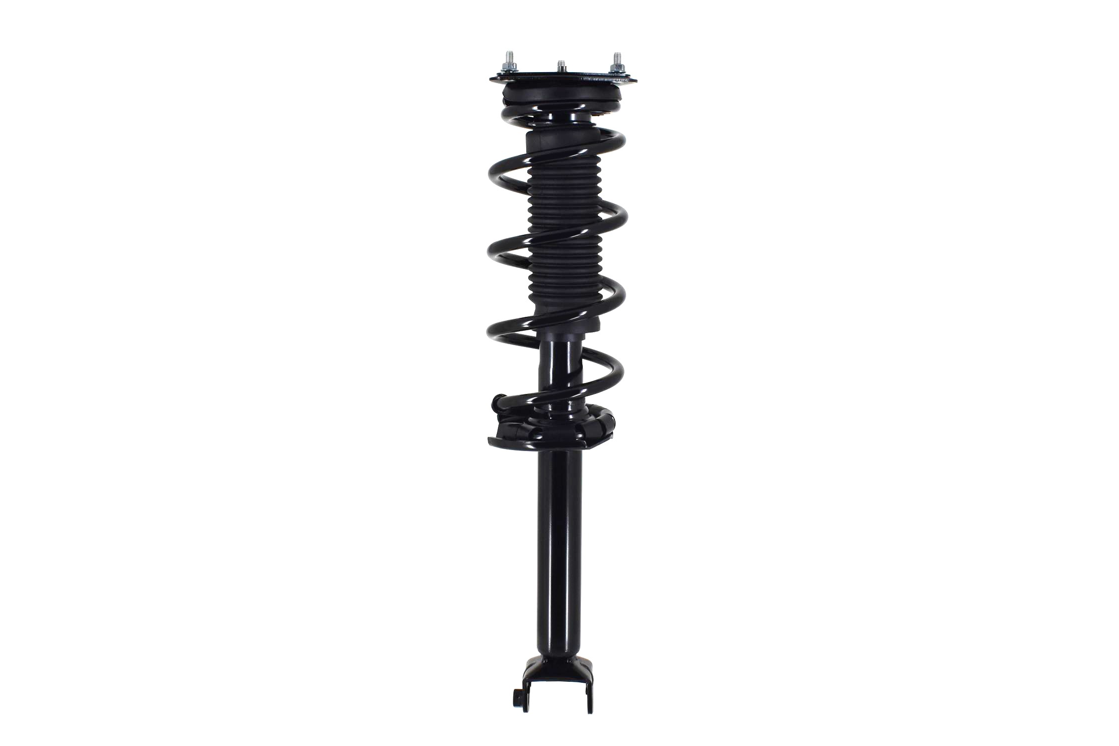 Suspension Strut and Coil Spring Assembly