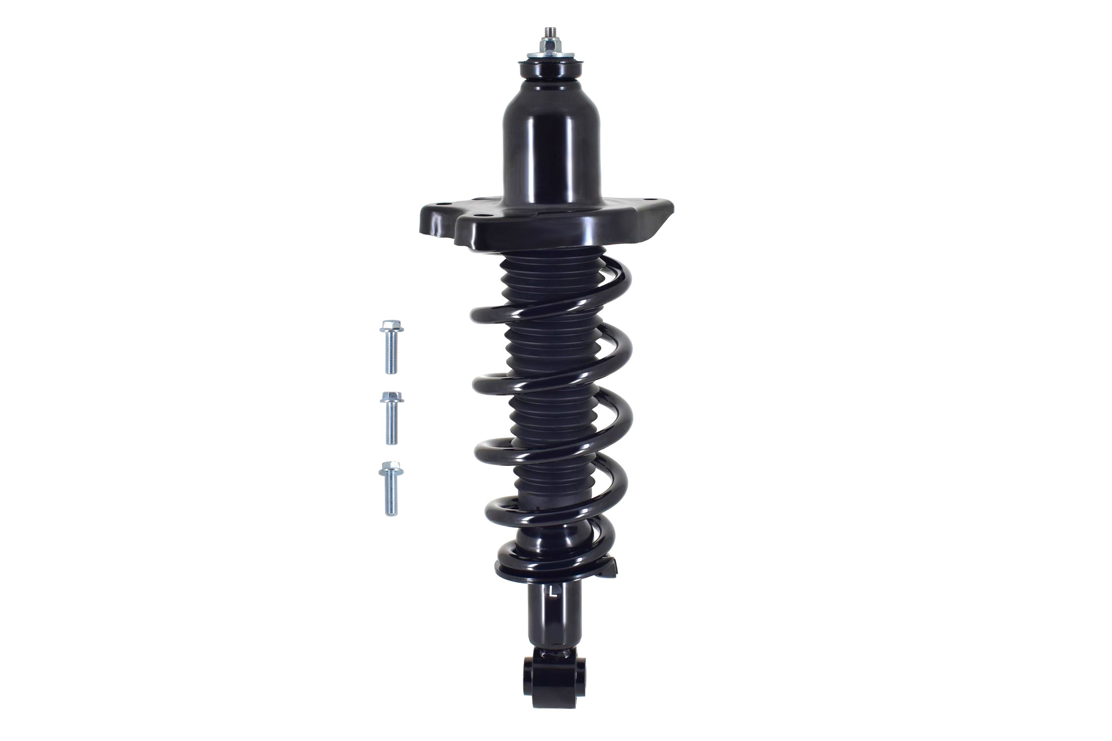 Suspension Strut and Coil Spring Assembly