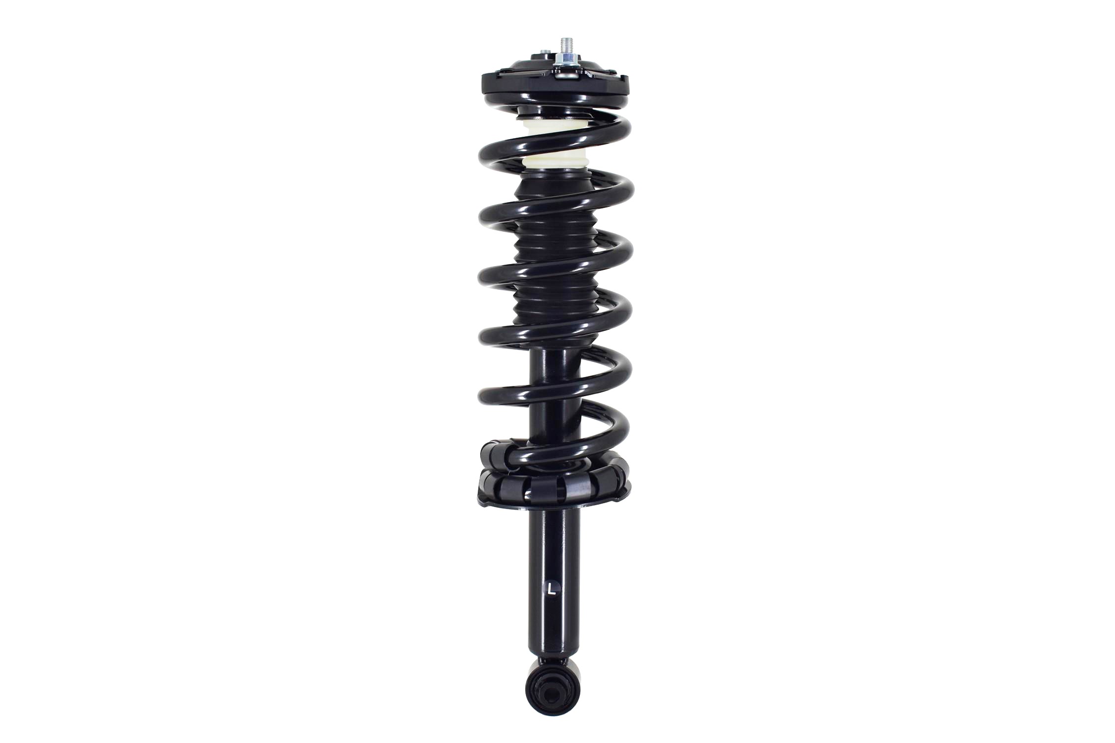 Suspension Strut and Coil Spring Assembly