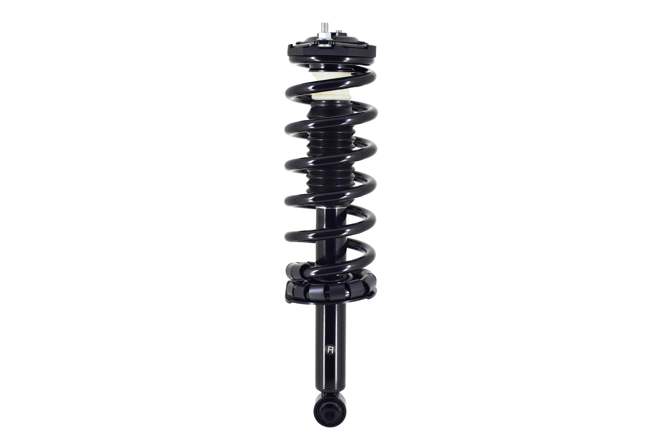 Suspension Strut and Coil Spring Assembly