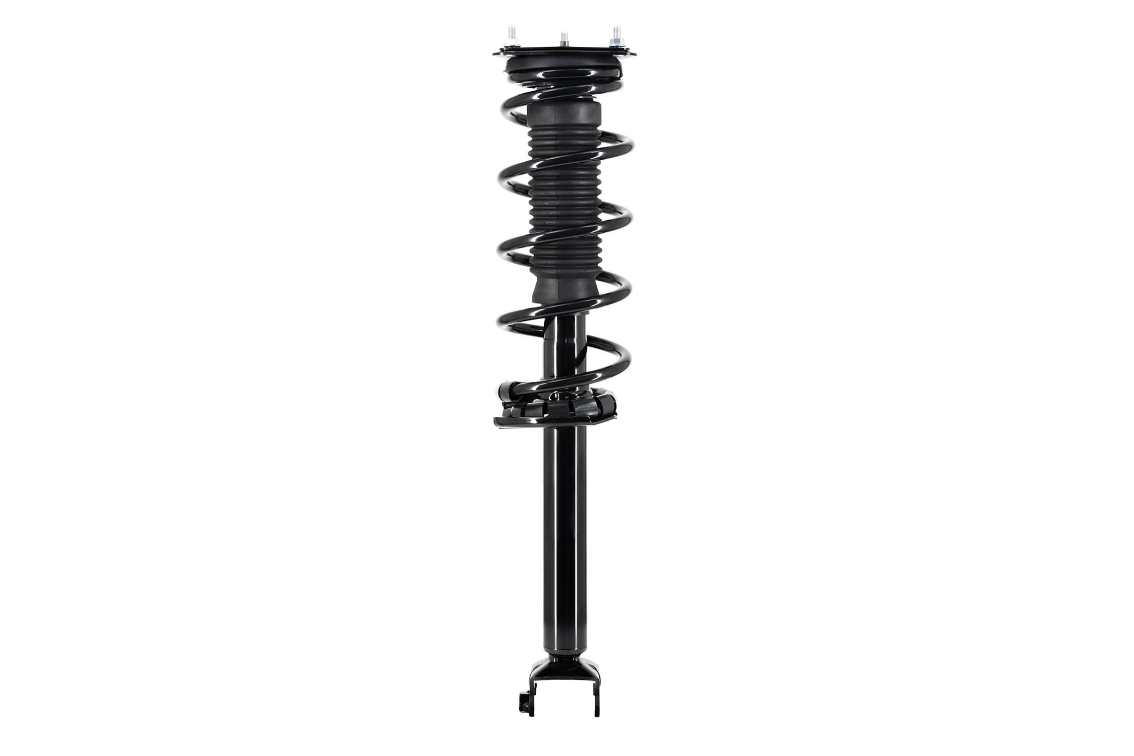 Suspension Strut and Coil Spring Assembly