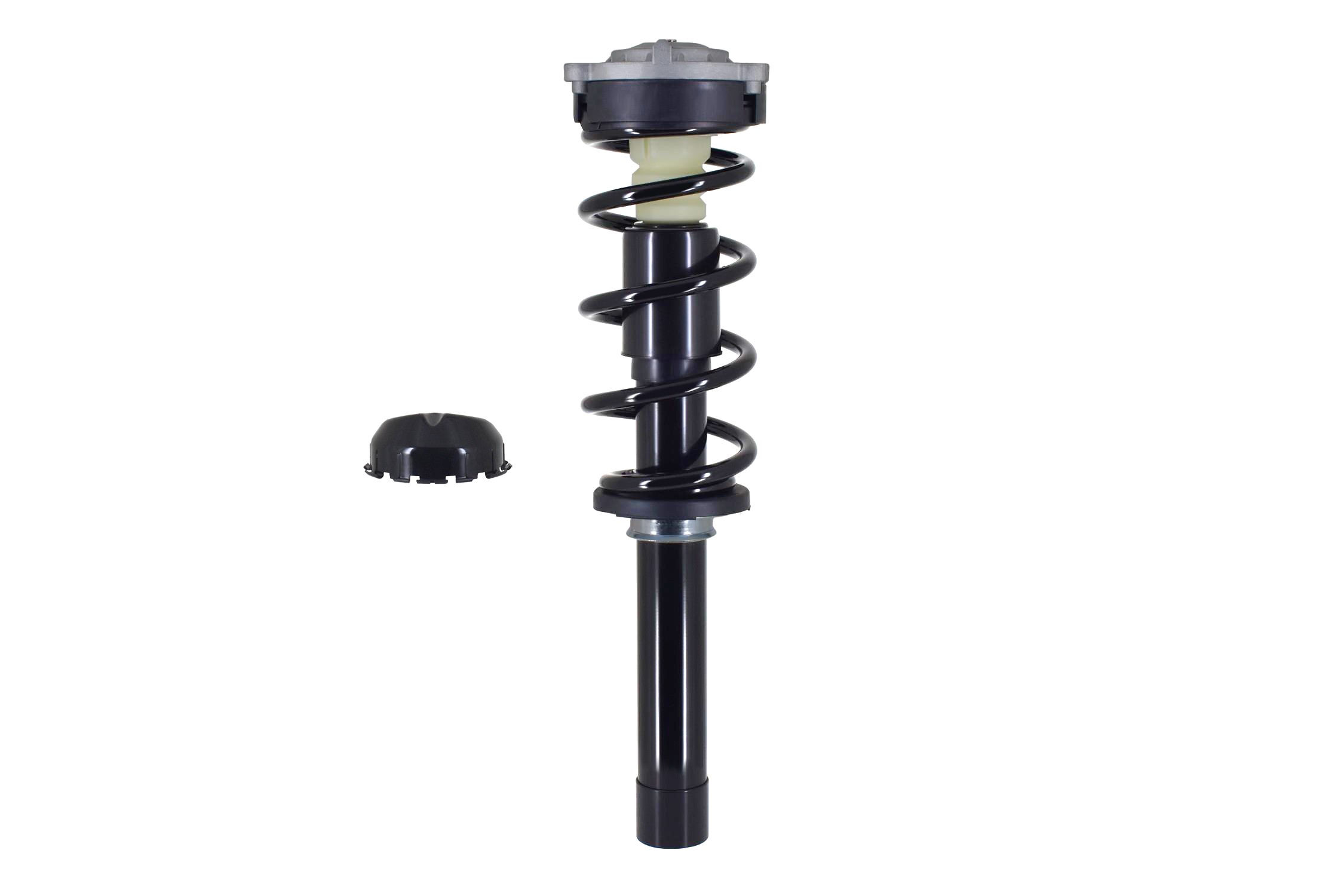 Suspension Strut and Coil Spring Assembly