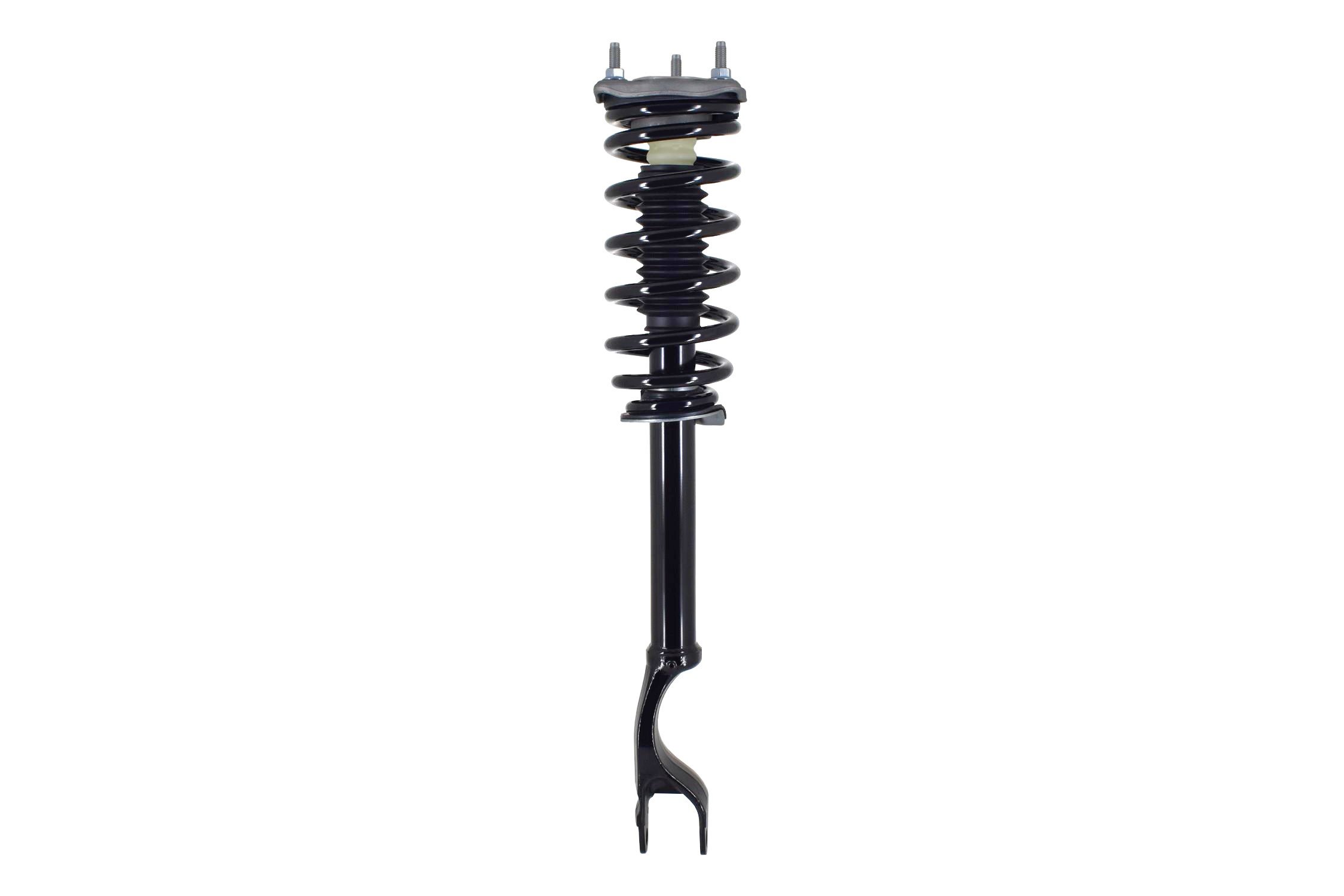 Suspension Strut and Coil Spring Assembly