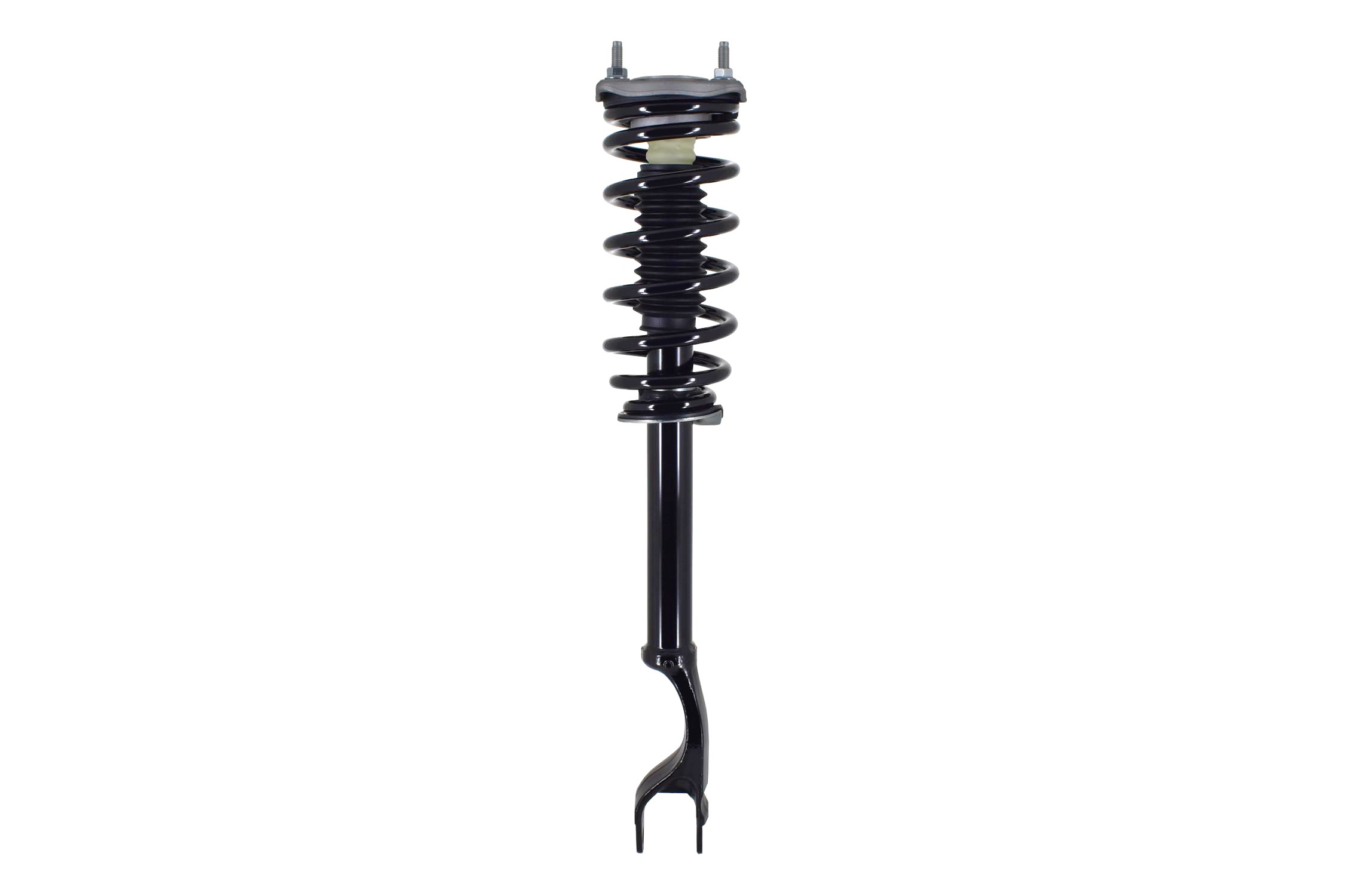 Suspension Strut and Coil Spring Assembly