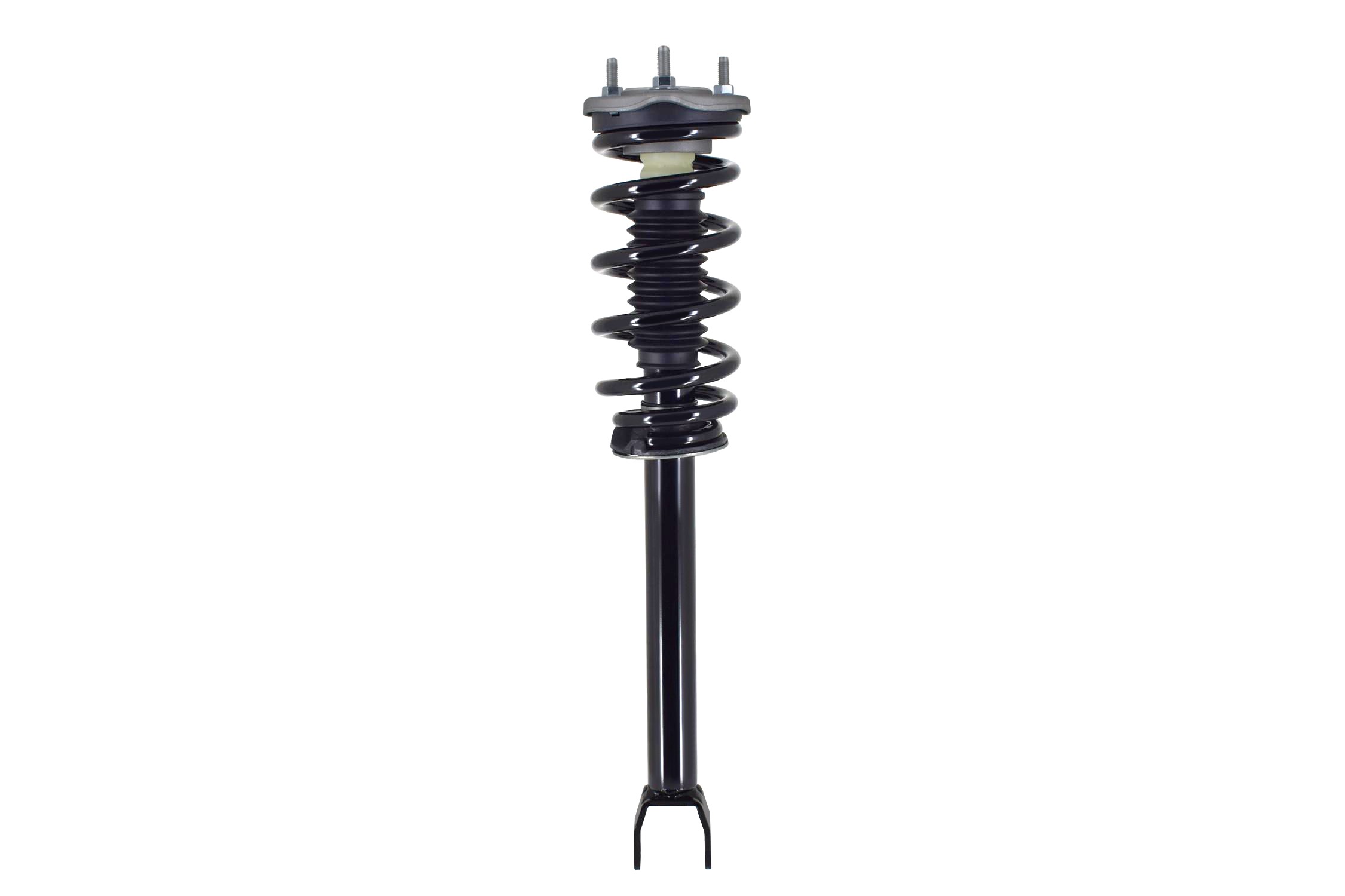 Suspension Strut and Coil Spring Assembly