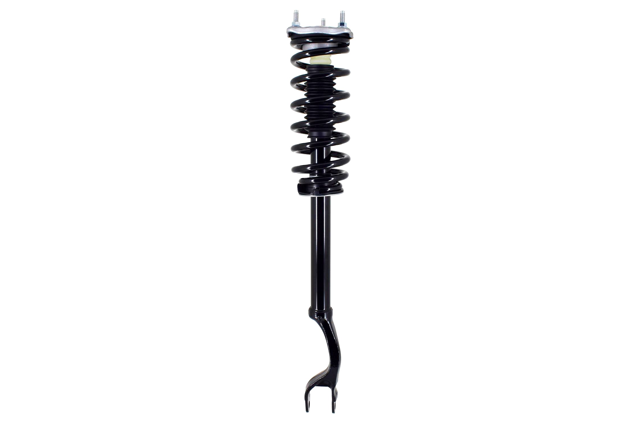 Suspension Strut and Coil Spring Assembly