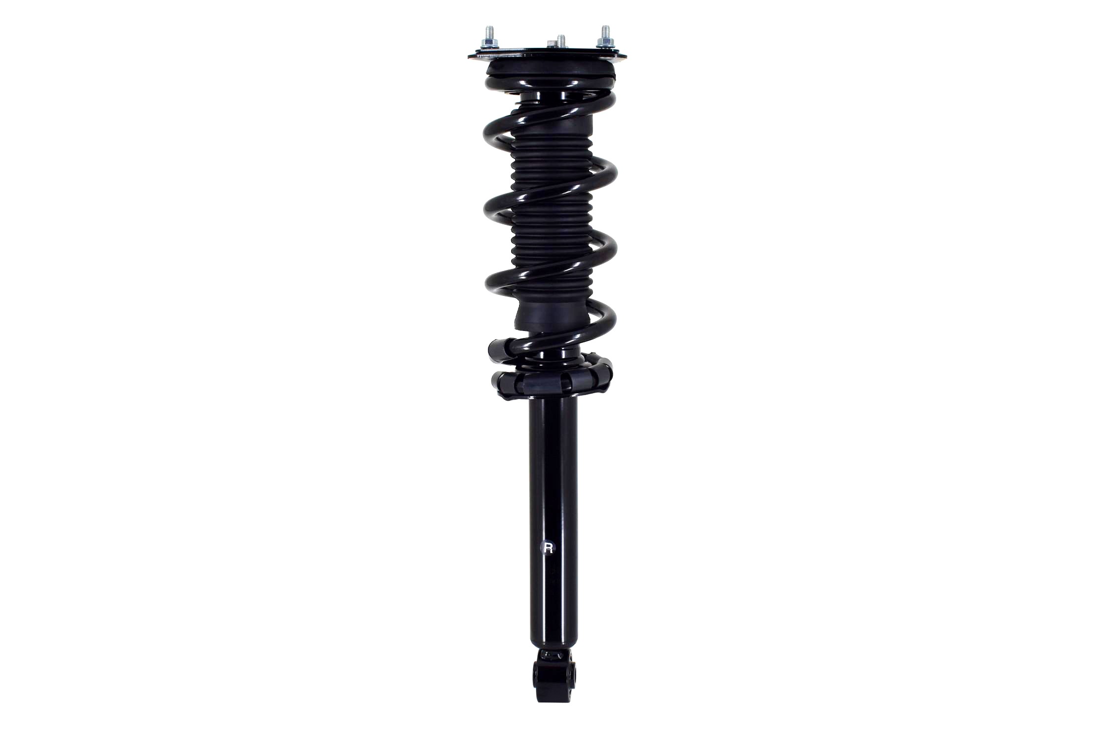 Suspension Strut and Coil Spring Assembly