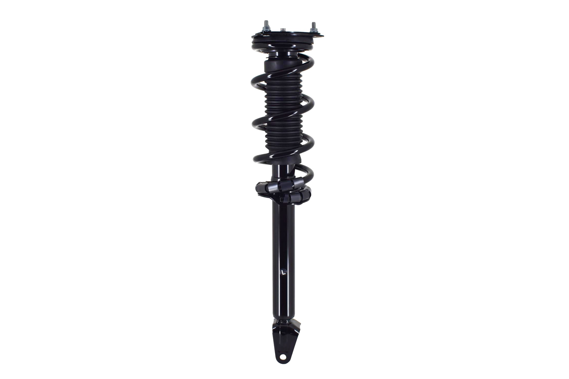 Suspension Strut and Coil Spring Assembly