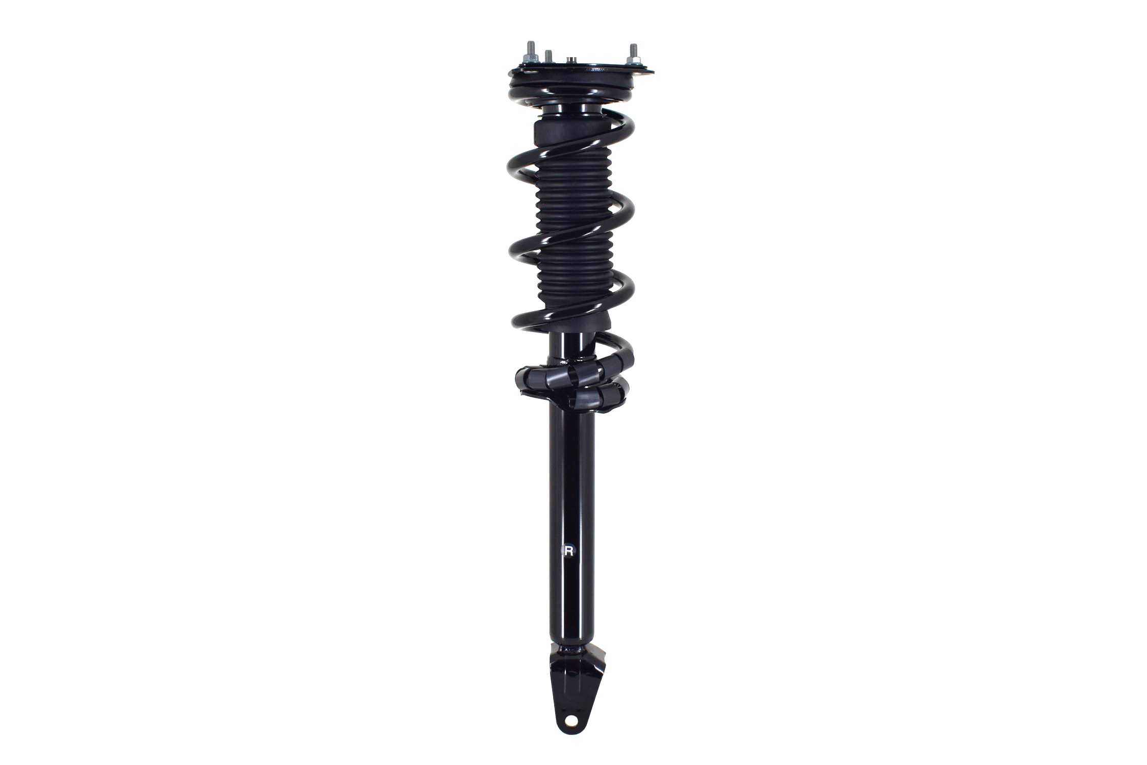 Suspension Strut and Coil Spring Assembly