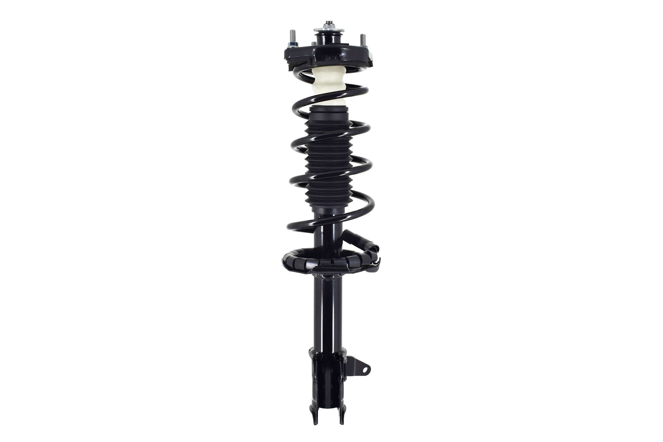 Suspension Strut and Coil Spring Assembly