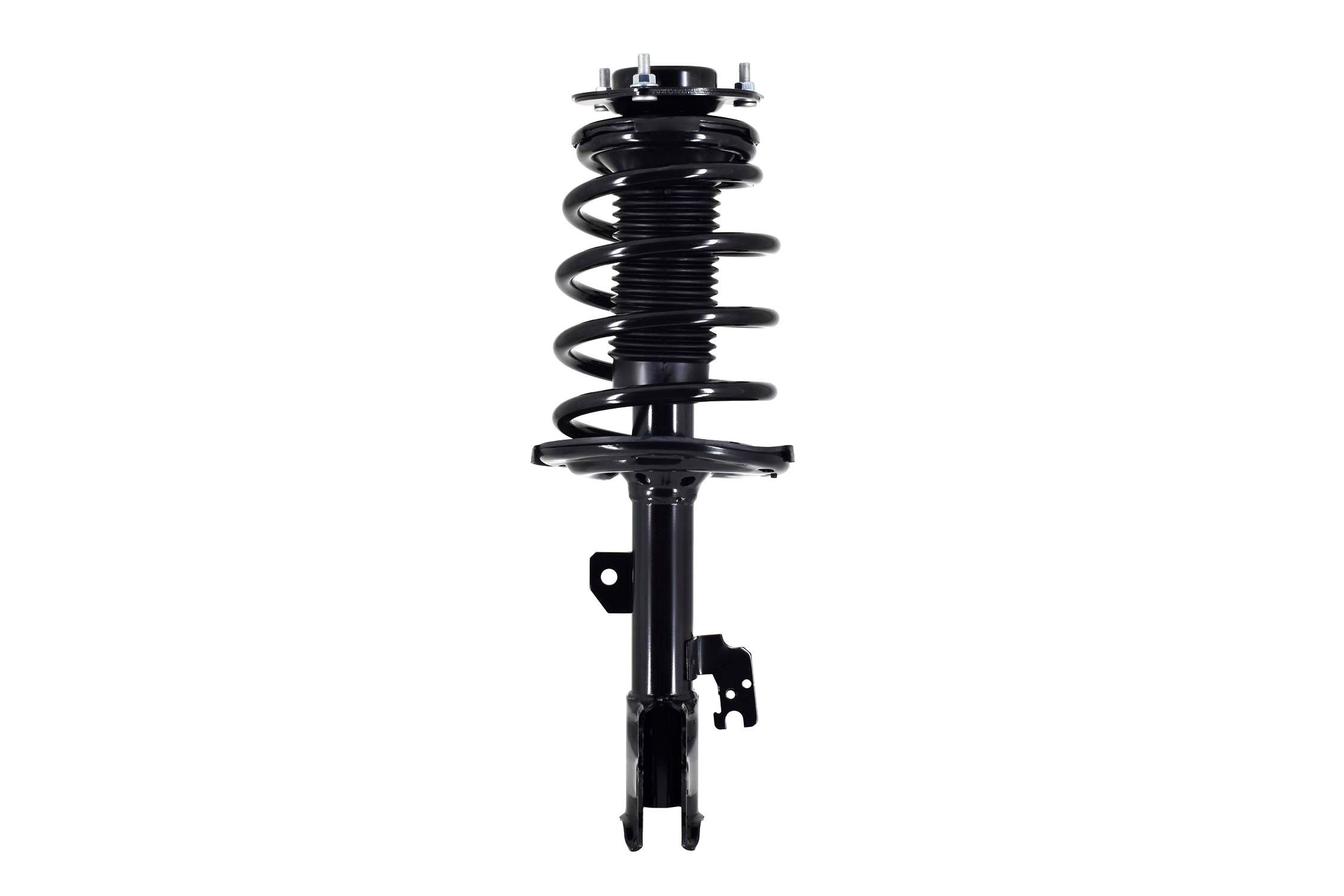 Suspension Strut and Coil Spring Assembly