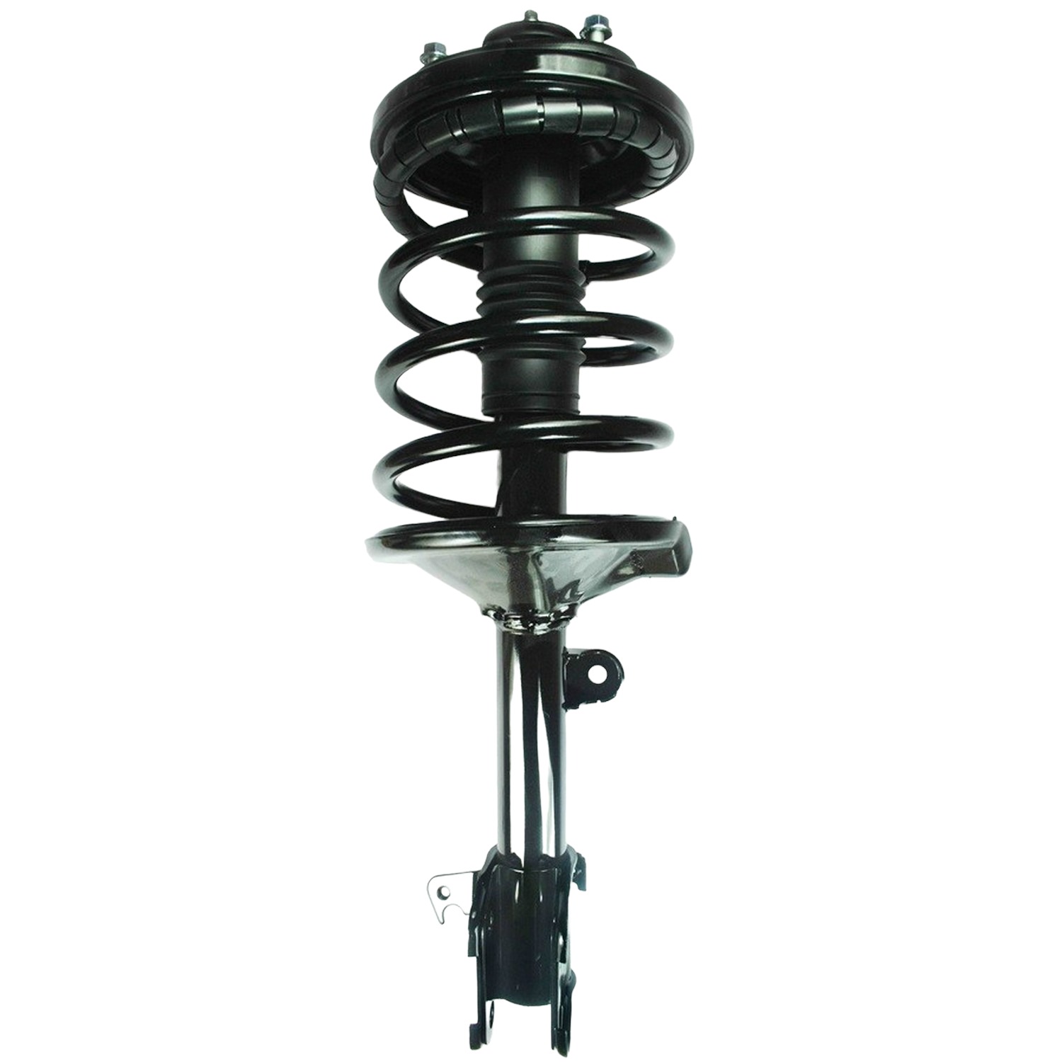 Suspension Strut and Coil Spring Assembly