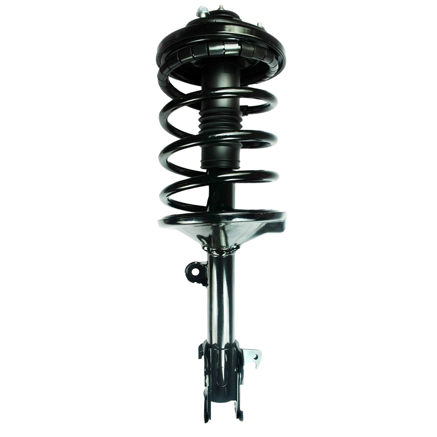 Suspension Strut and Coil Spring Assembly