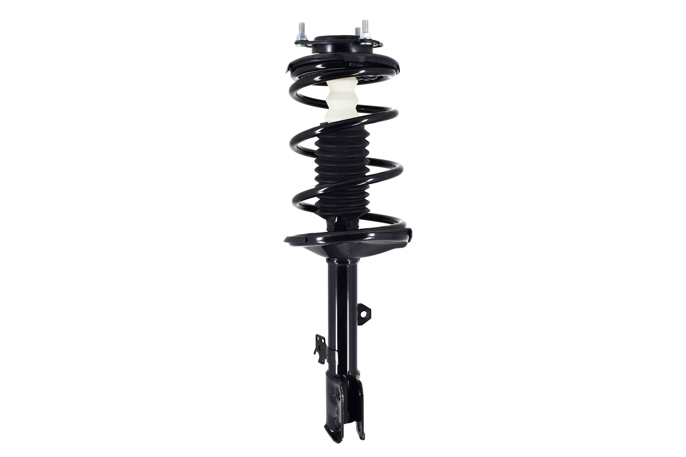 Suspension Strut and Coil Spring Assembly