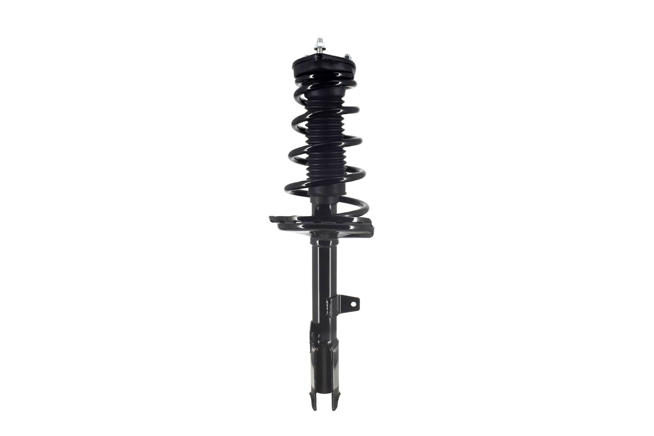 Suspension Strut and Coil Spring Assembly