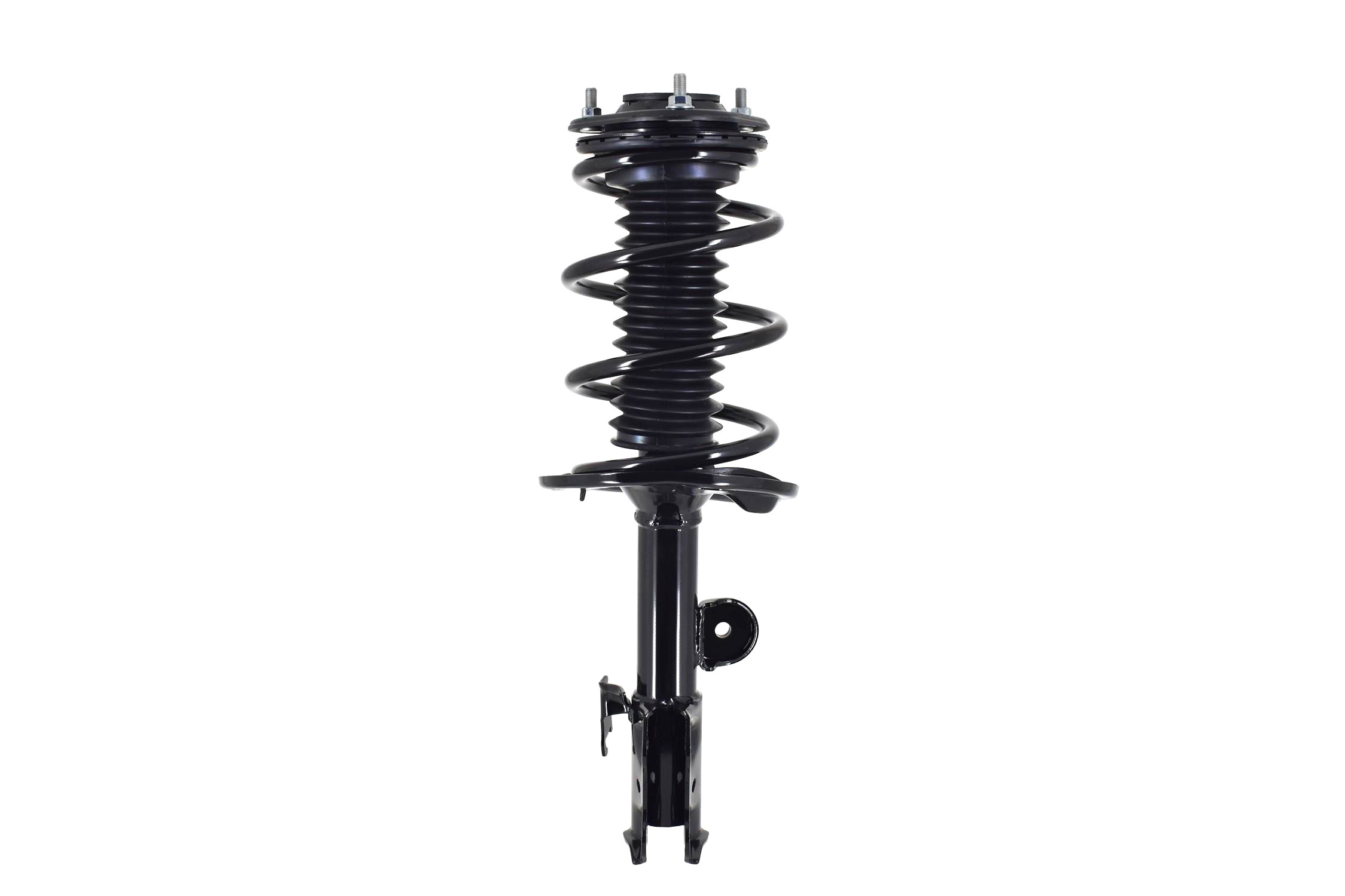 Suspension Strut and Coil Spring Assembly
