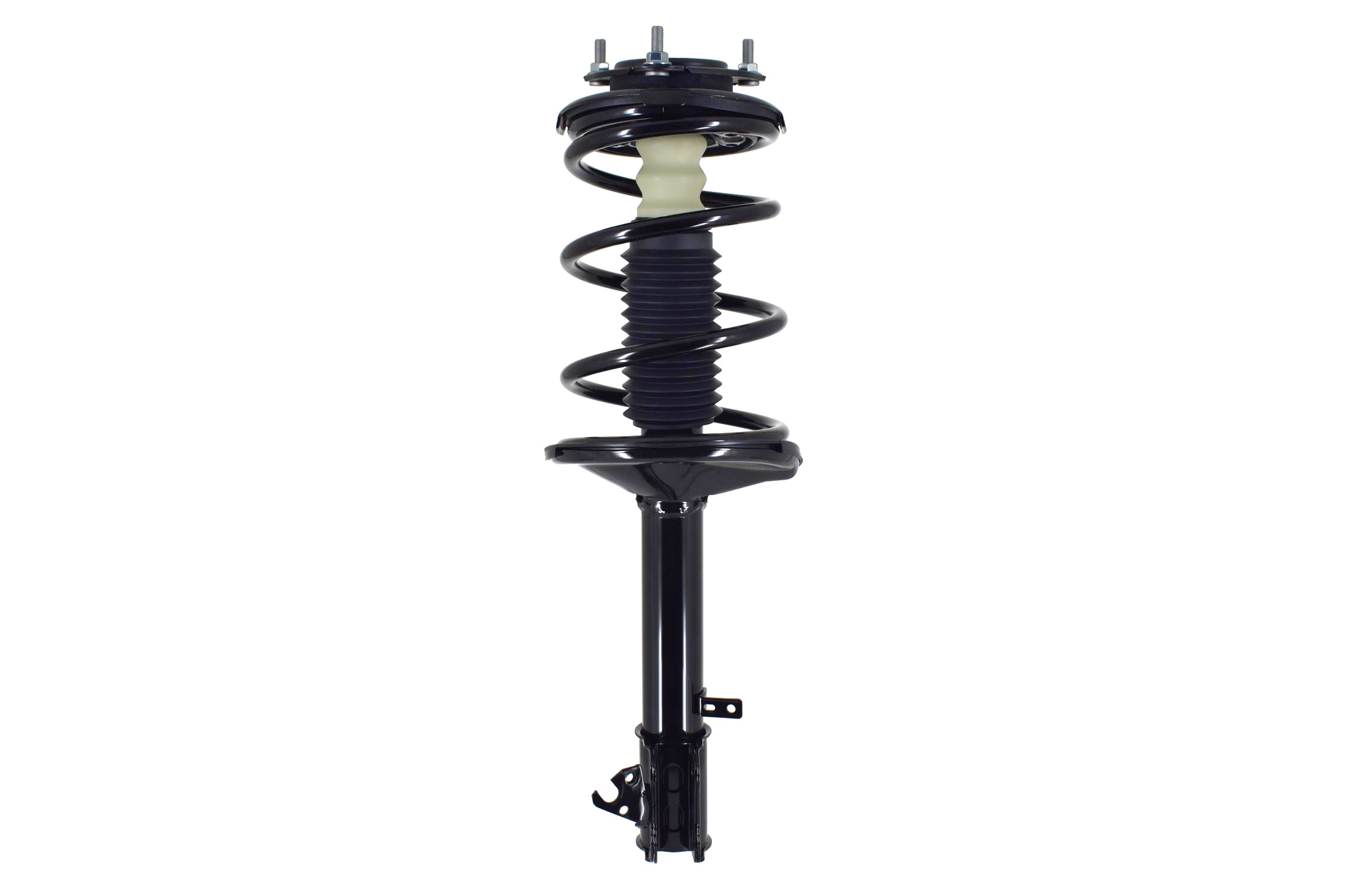 Suspension Strut and Coil Spring Assembly
