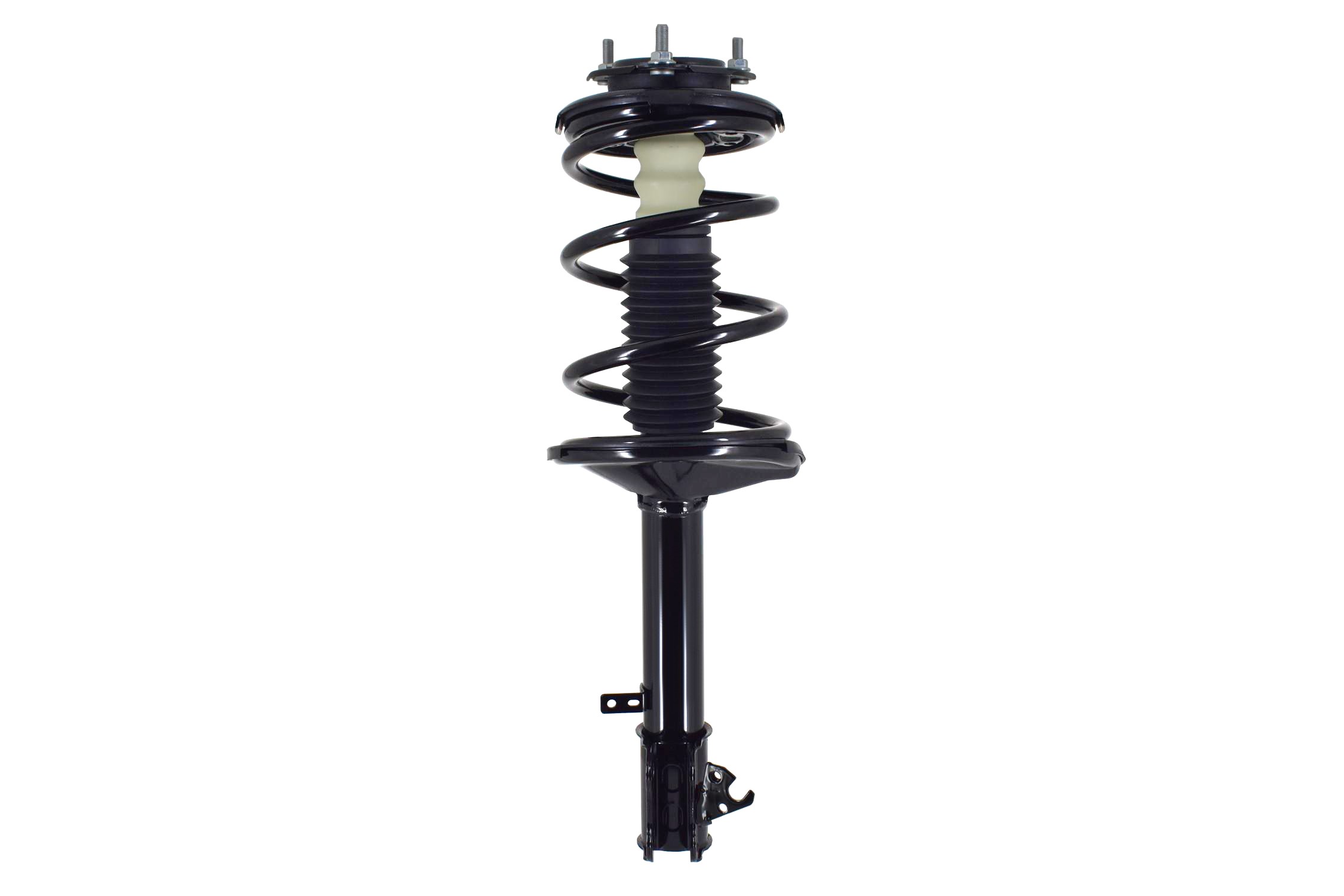 Suspension Strut and Coil Spring Assembly