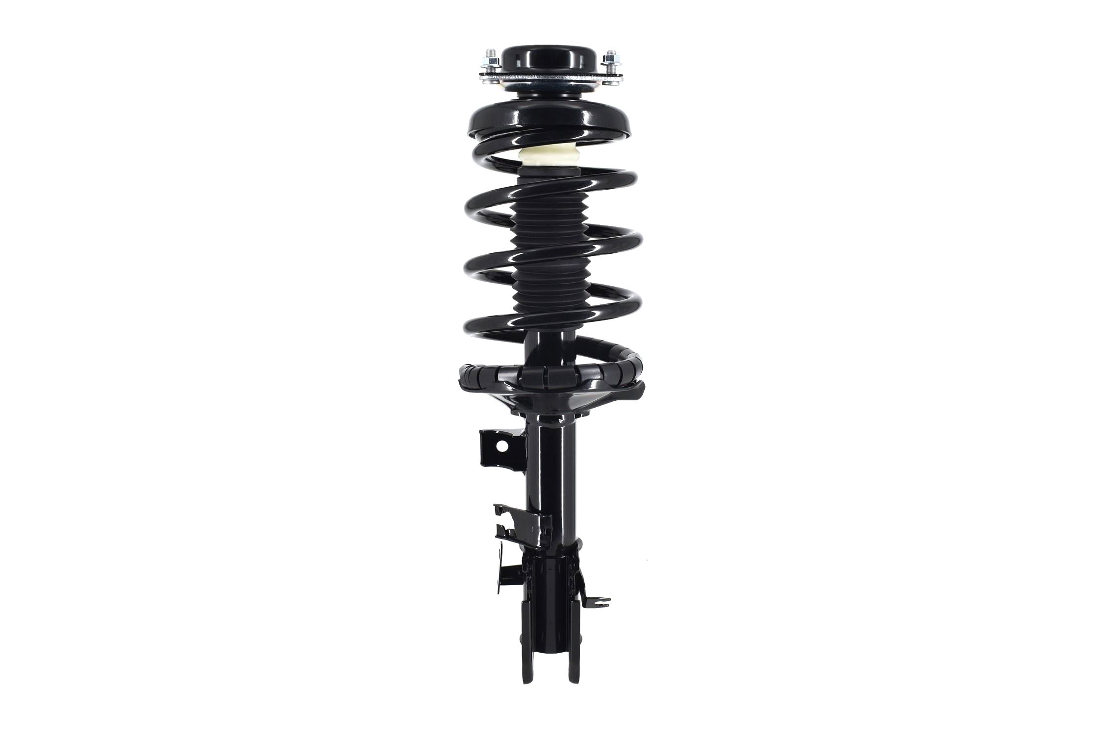 Suspension Strut and Coil Spring Assembly
