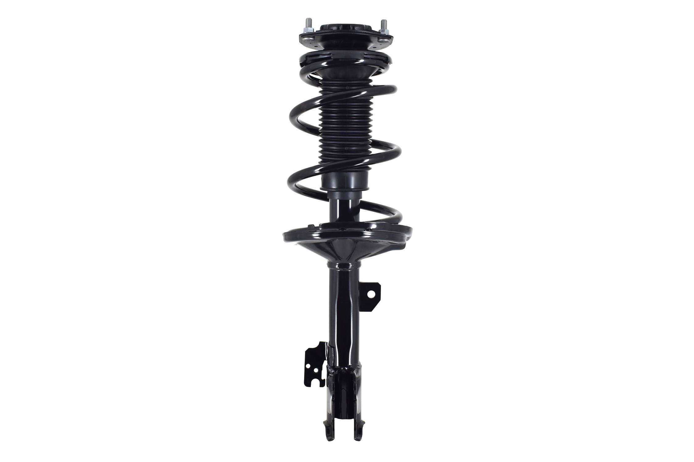 Suspension Strut and Coil Spring Assembly