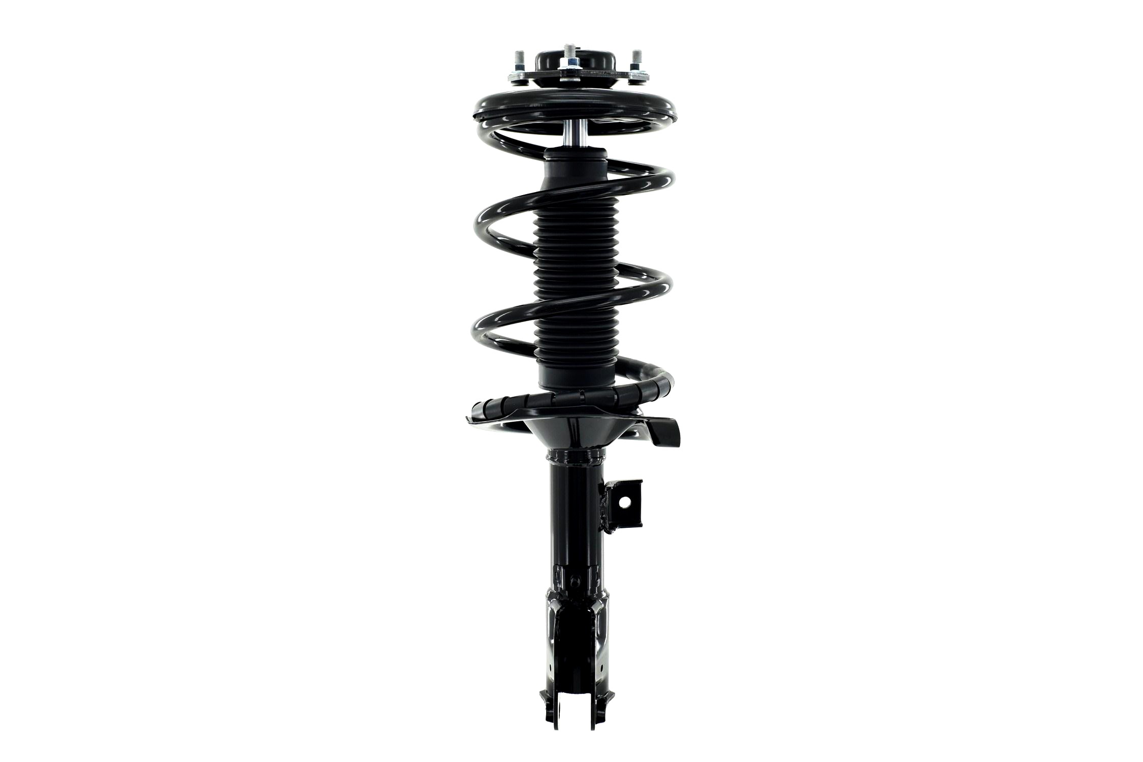 Suspension Strut and Coil Spring Assembly