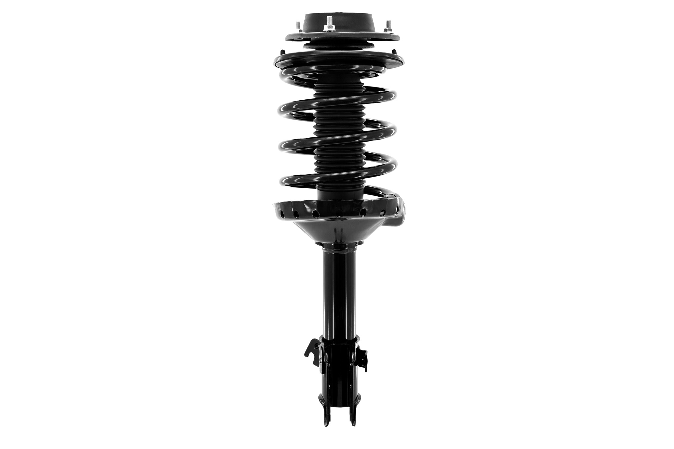 Suspension Strut and Coil Spring Assembly