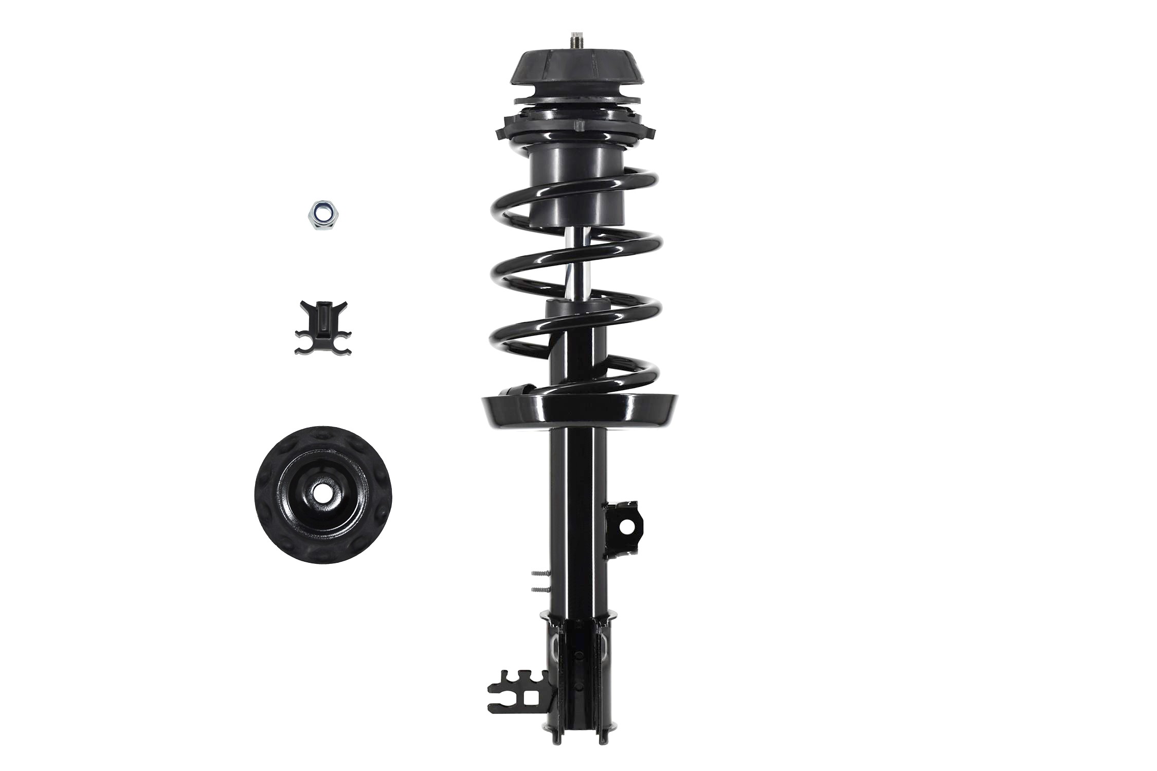 Suspension Strut and Coil Spring Assembly