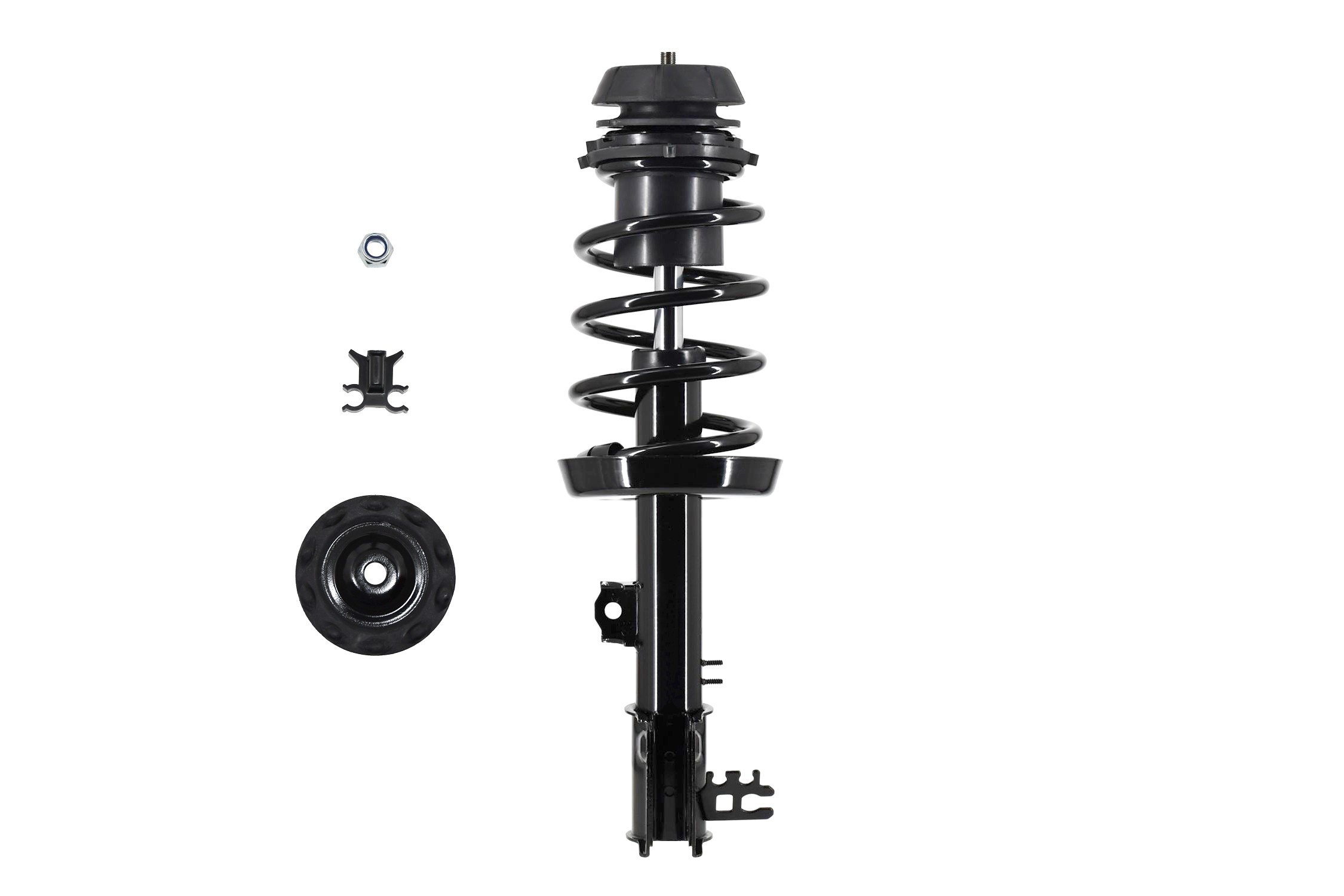 Suspension Strut and Coil Spring Assembly
