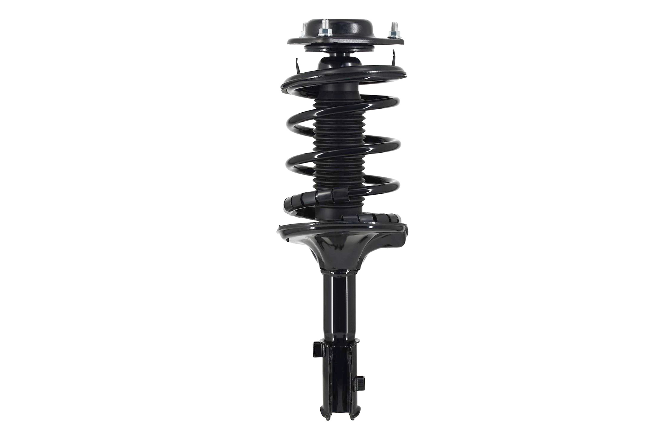 Suspension Strut and Coil Spring Assembly