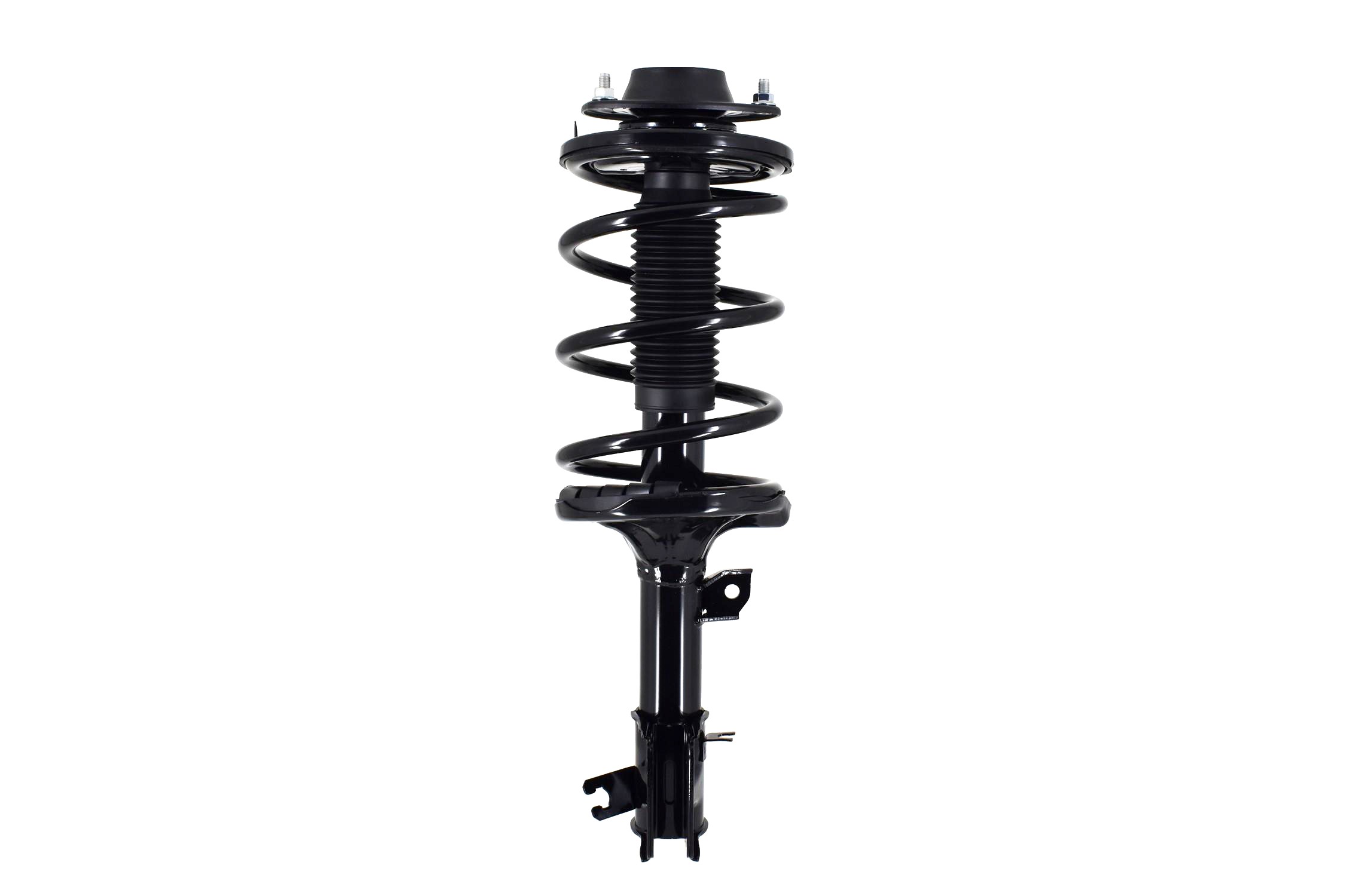Suspension Strut and Coil Spring Assembly