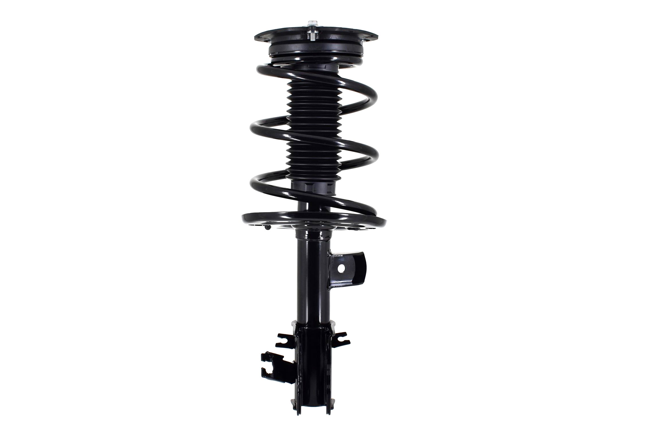 Suspension Strut and Coil Spring Assembly