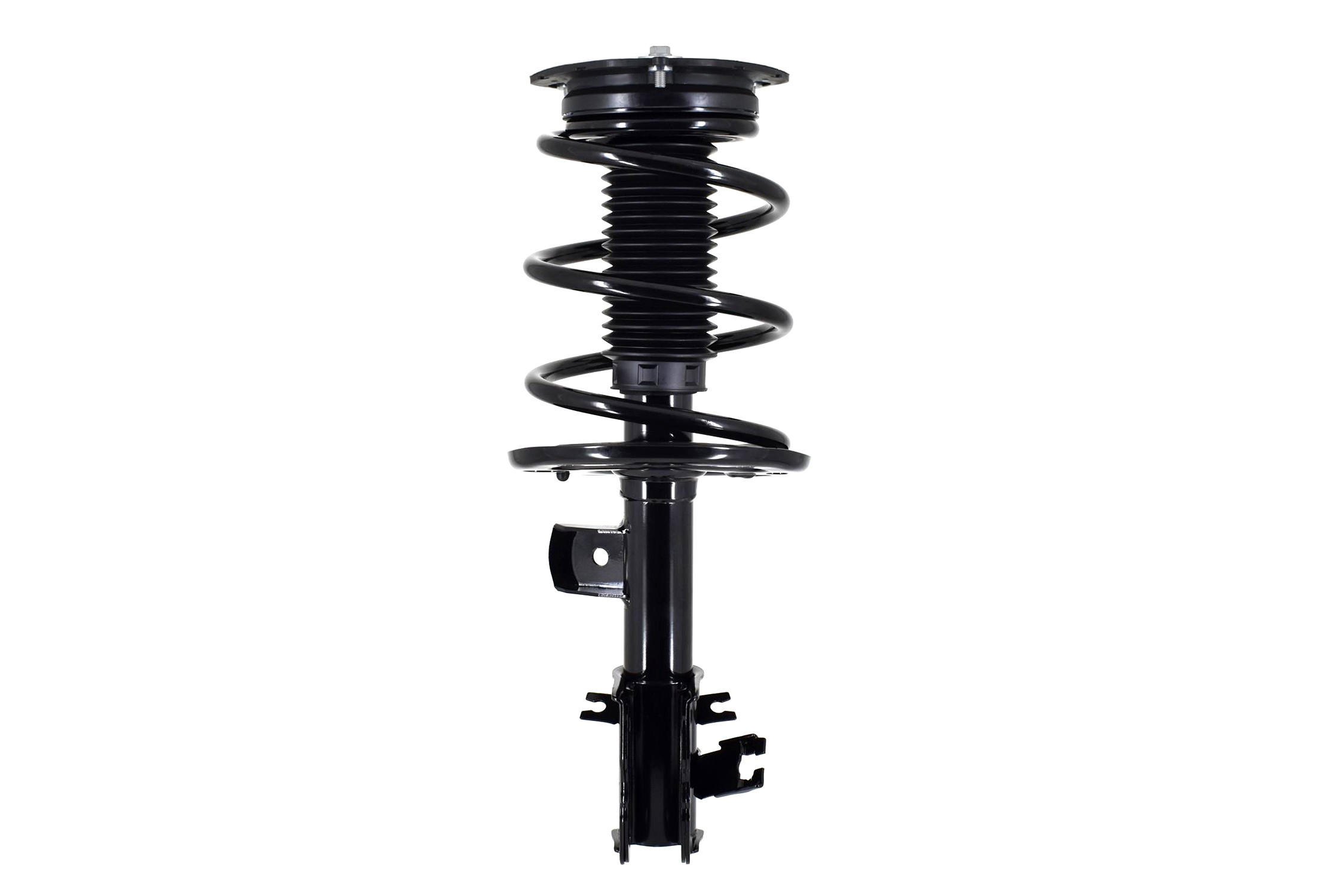 Suspension Strut and Coil Spring Assembly