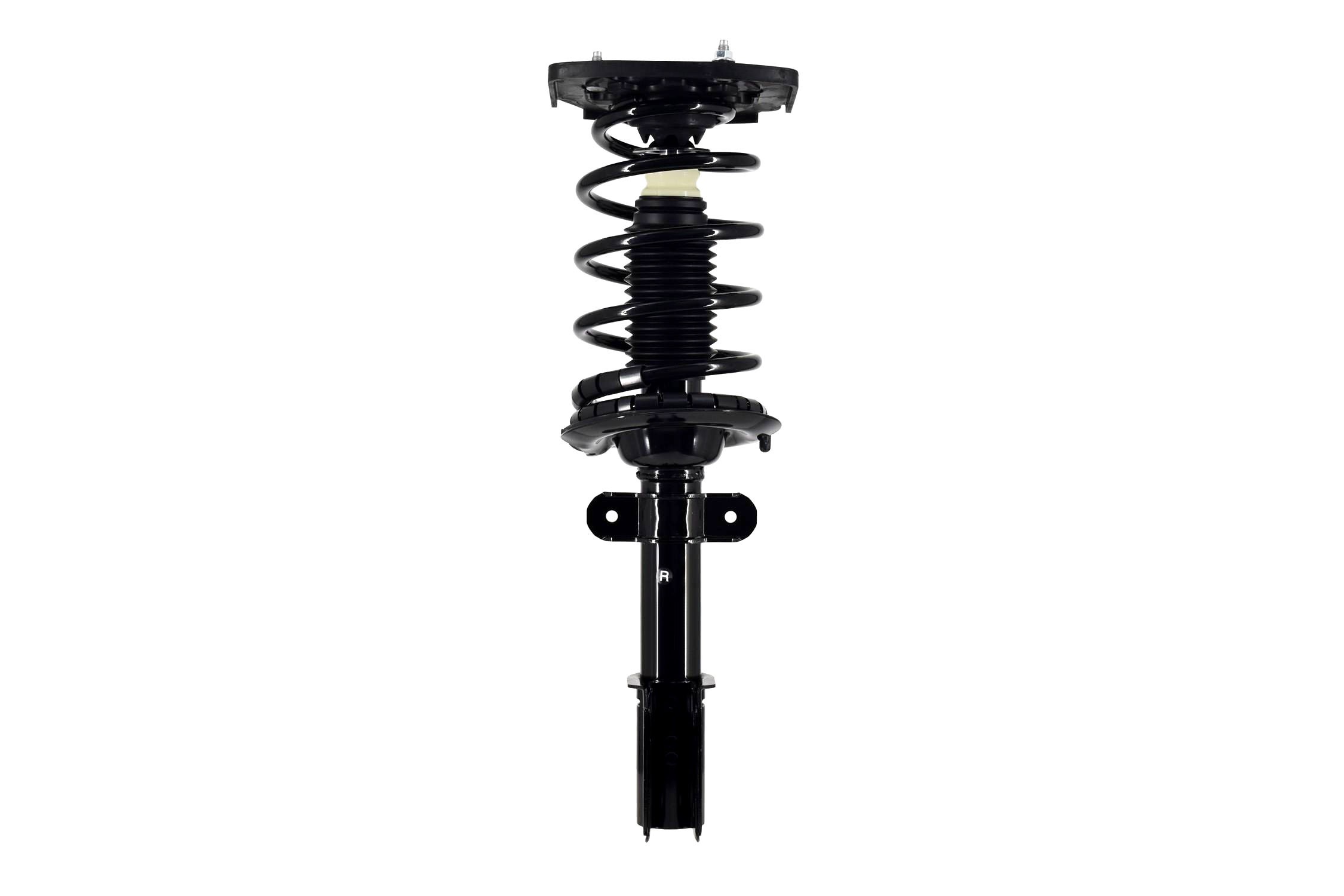 Suspension Strut and Coil Spring Assembly