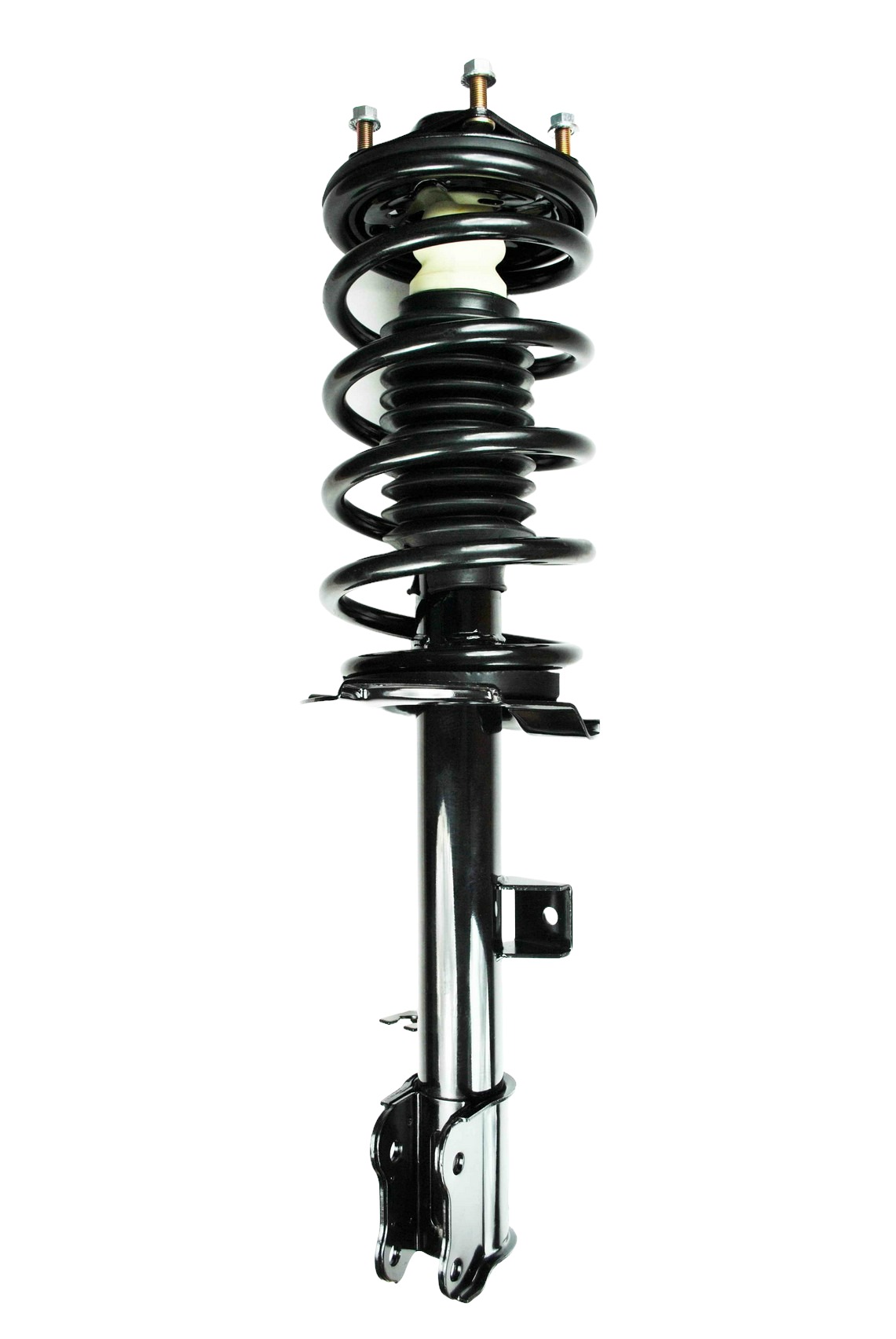 Suspension Strut and Coil Spring Assembly