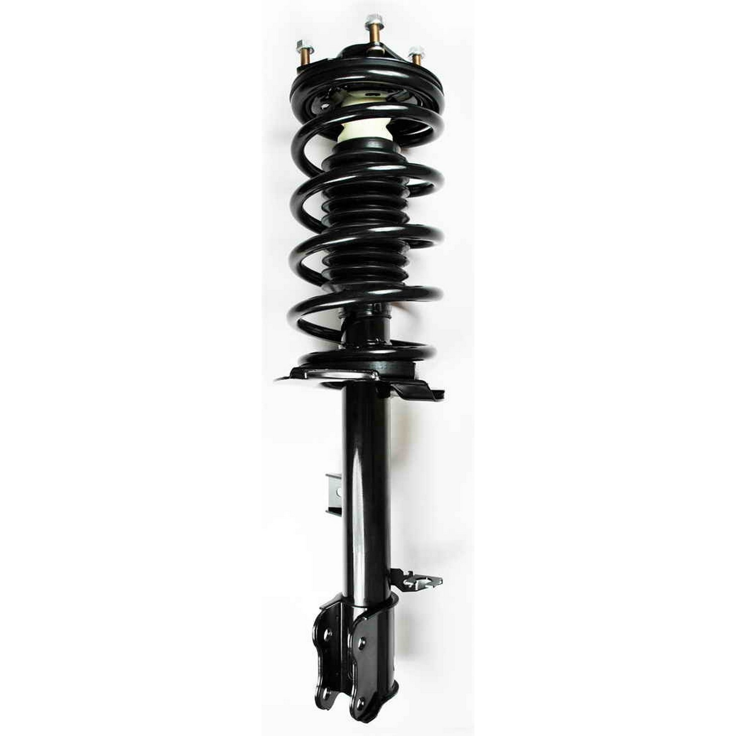 Suspension Strut and Coil Spring Assembly