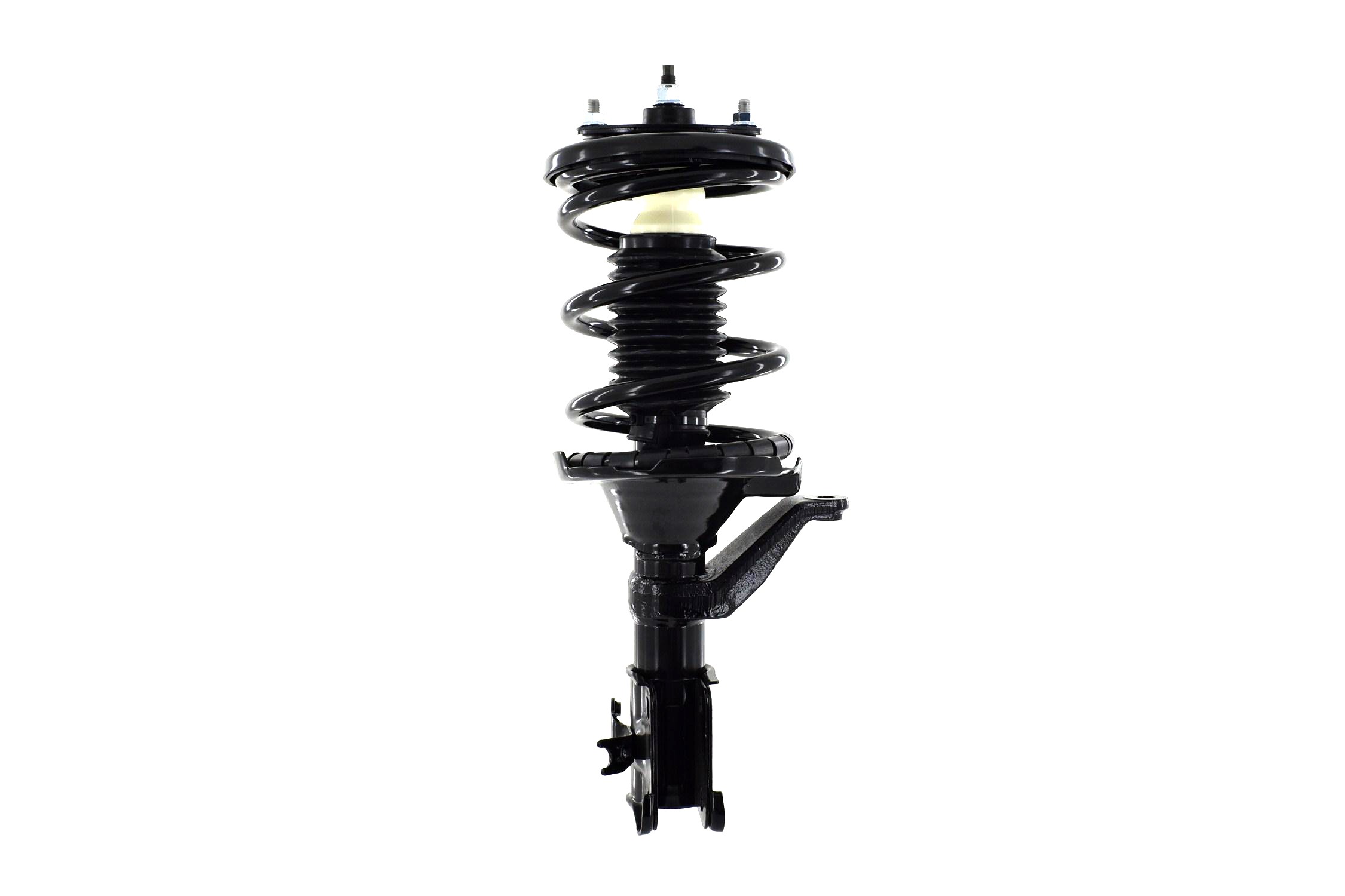 Suspension Strut and Coil Spring Assembly