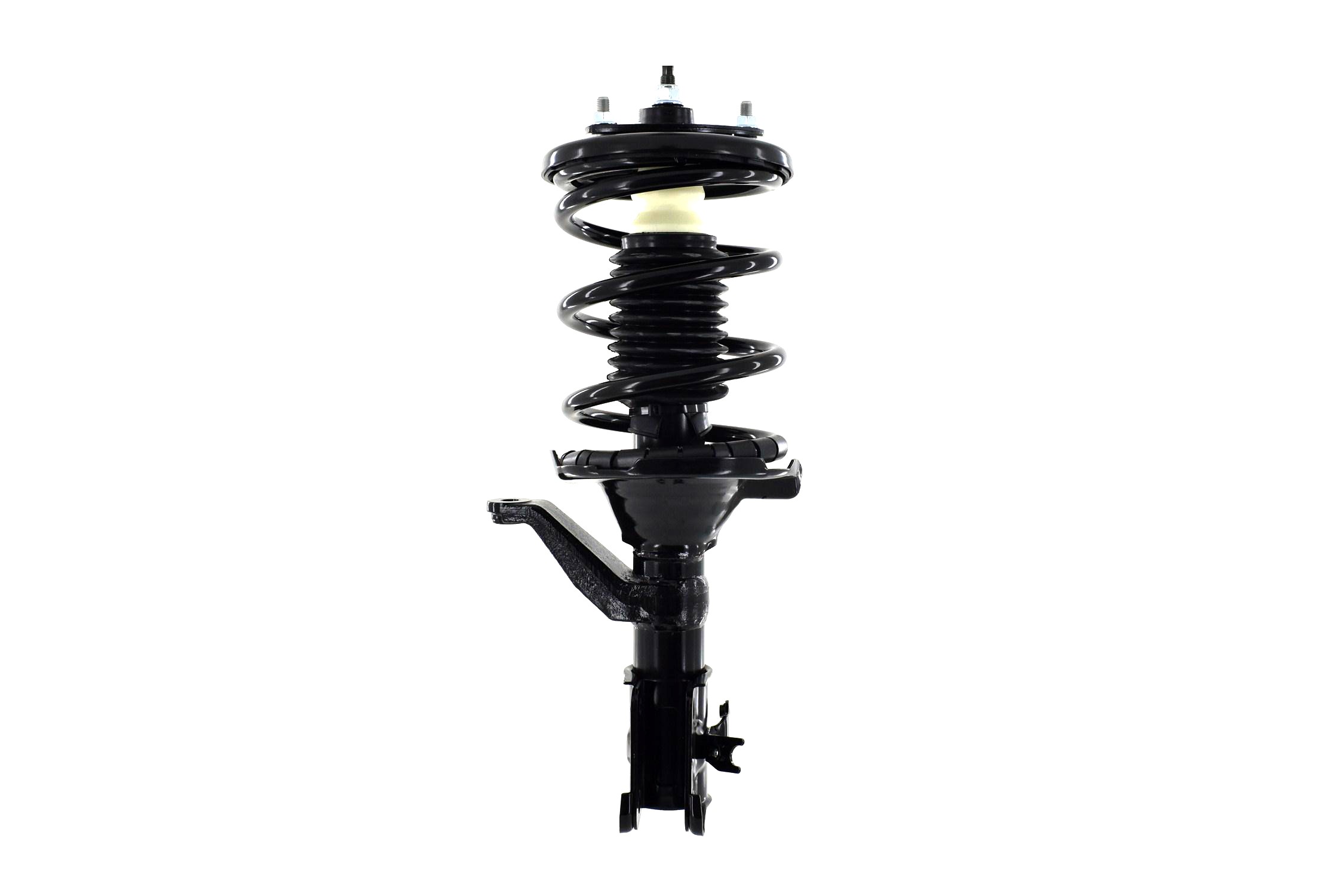 Suspension Strut and Coil Spring Assembly