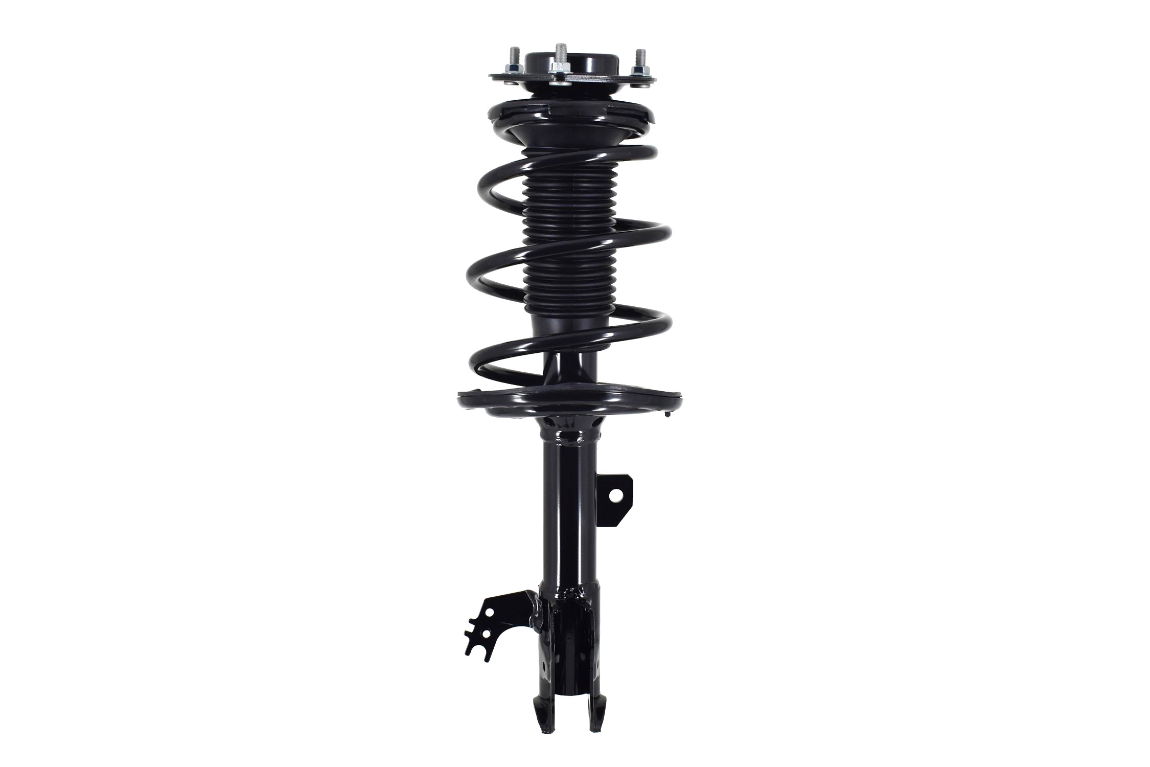 Suspension Strut and Coil Spring Assembly