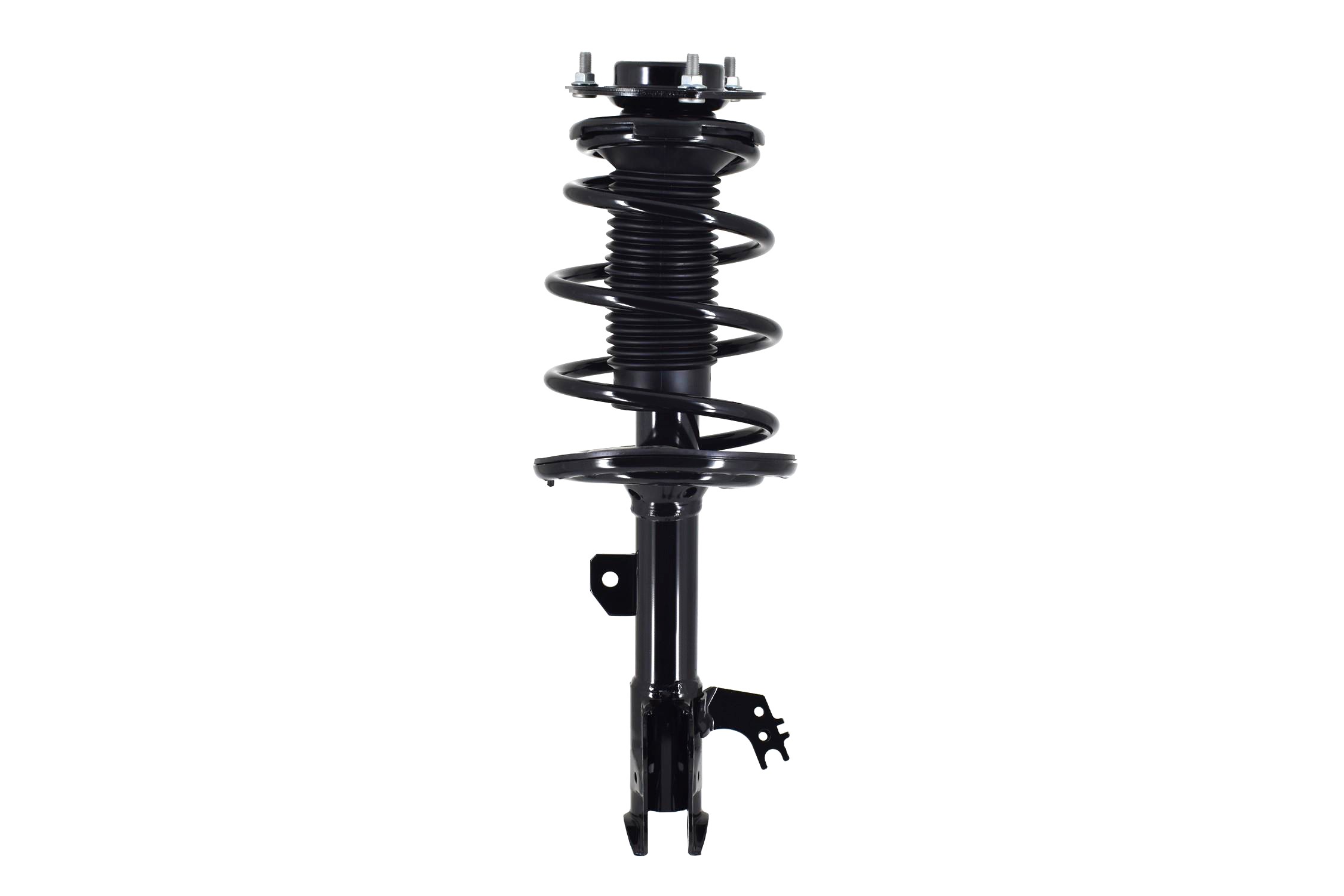 Suspension Strut and Coil Spring Assembly