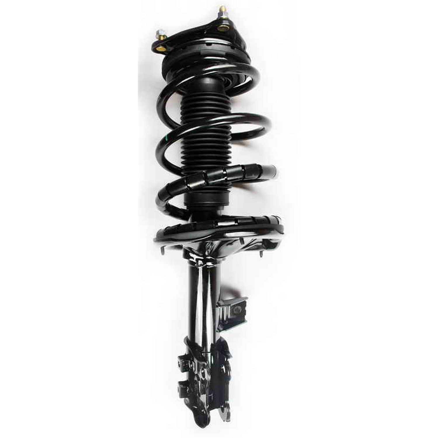 Suspension Strut and Coil Spring Assembly