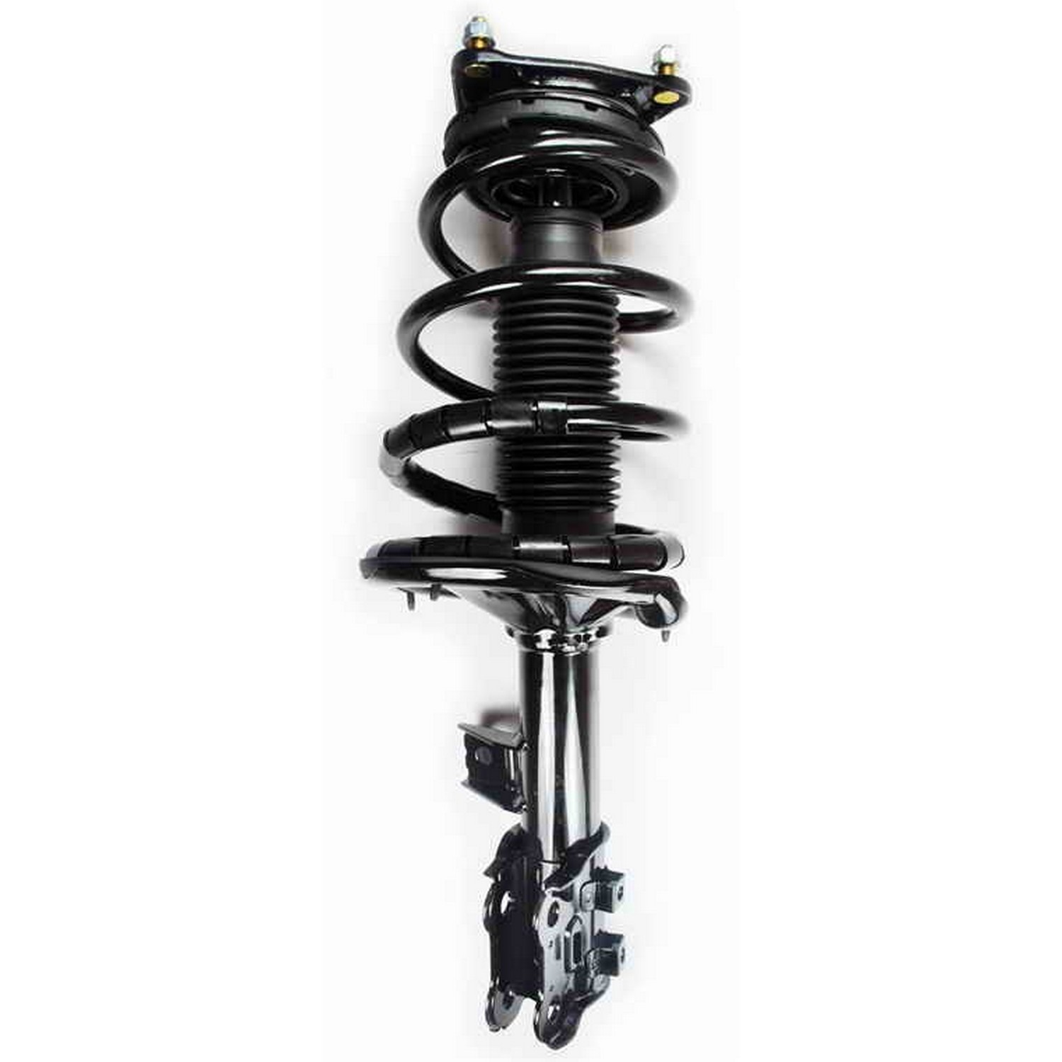 Suspension Strut and Coil Spring Assembly