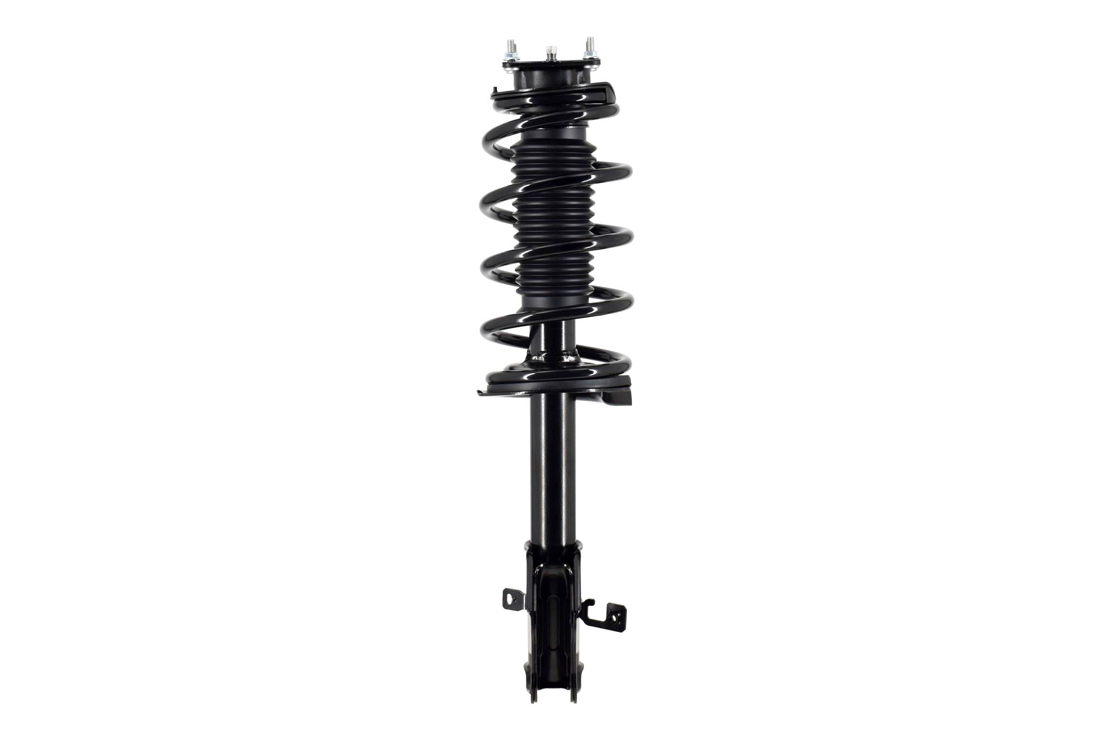 Suspension Strut and Coil Spring Assembly
