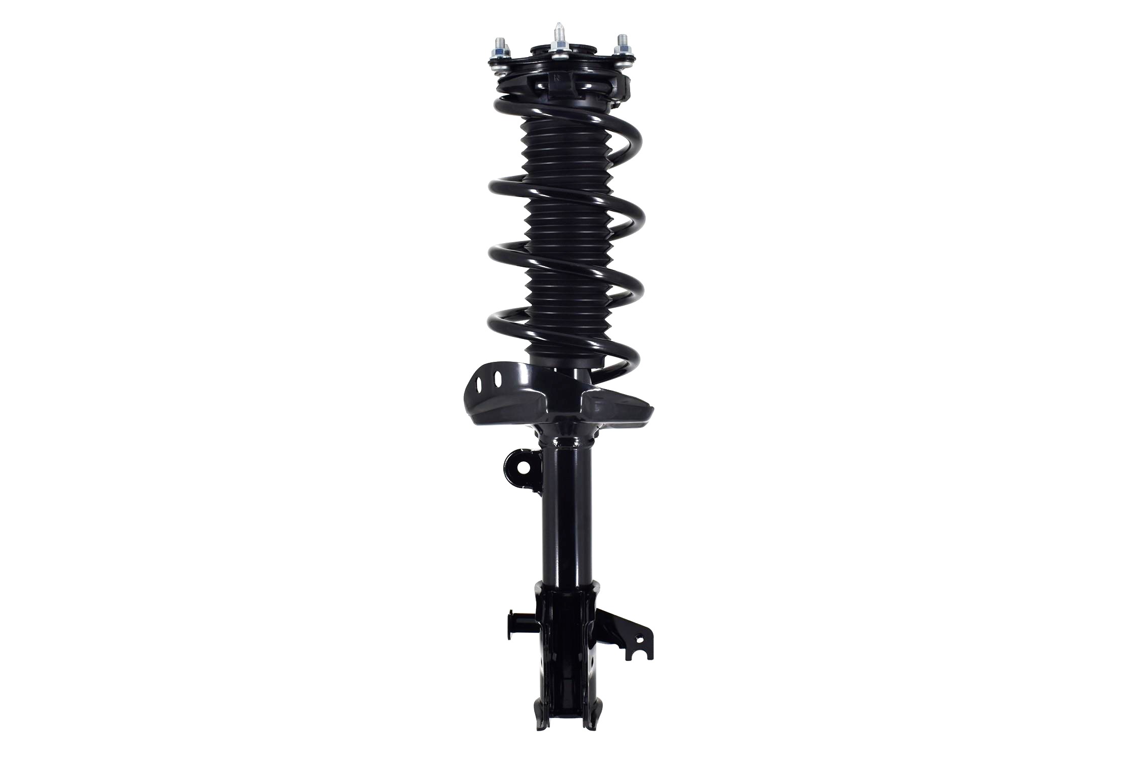 Suspension Strut and Coil Spring Assembly
