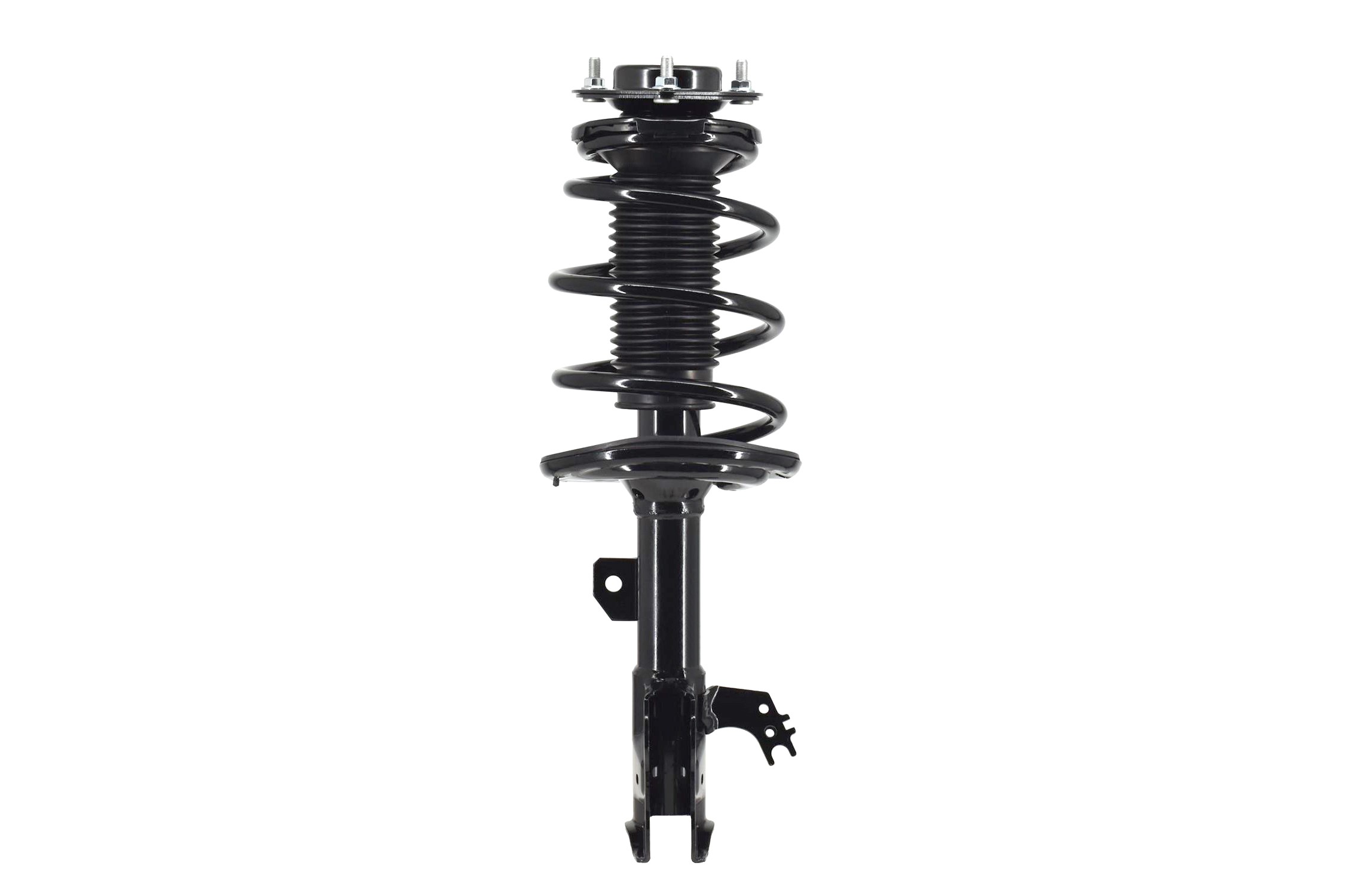 Suspension Strut and Coil Spring Assembly