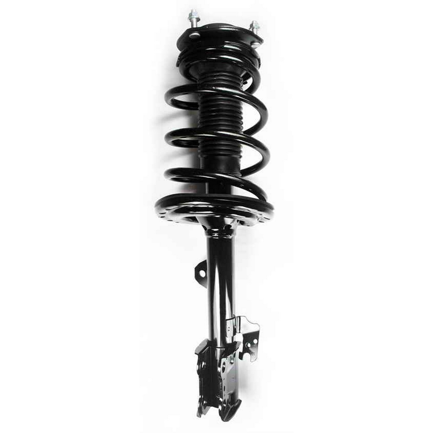Suspension Strut and Coil Spring Assembly