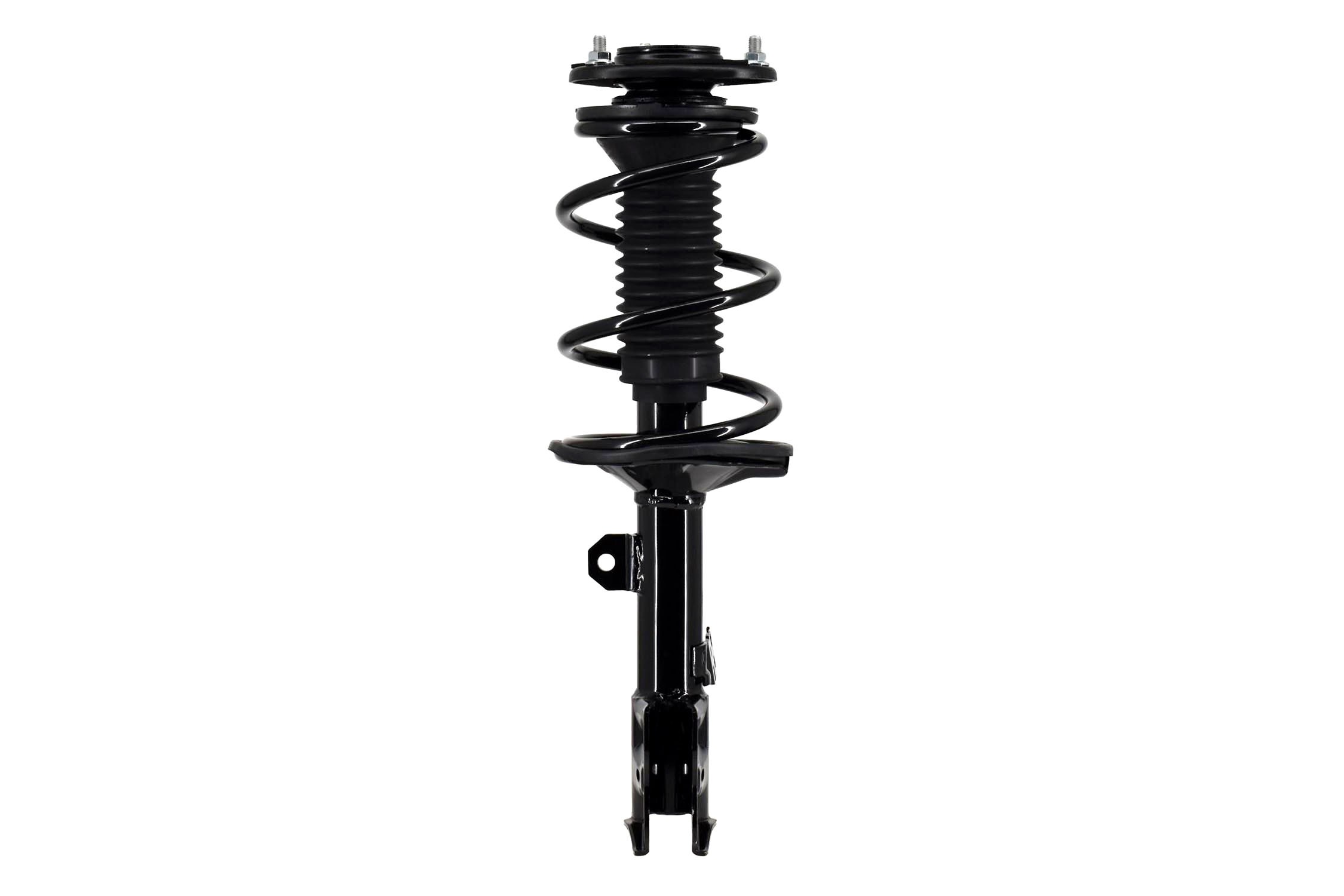 Suspension Strut and Coil Spring Assembly