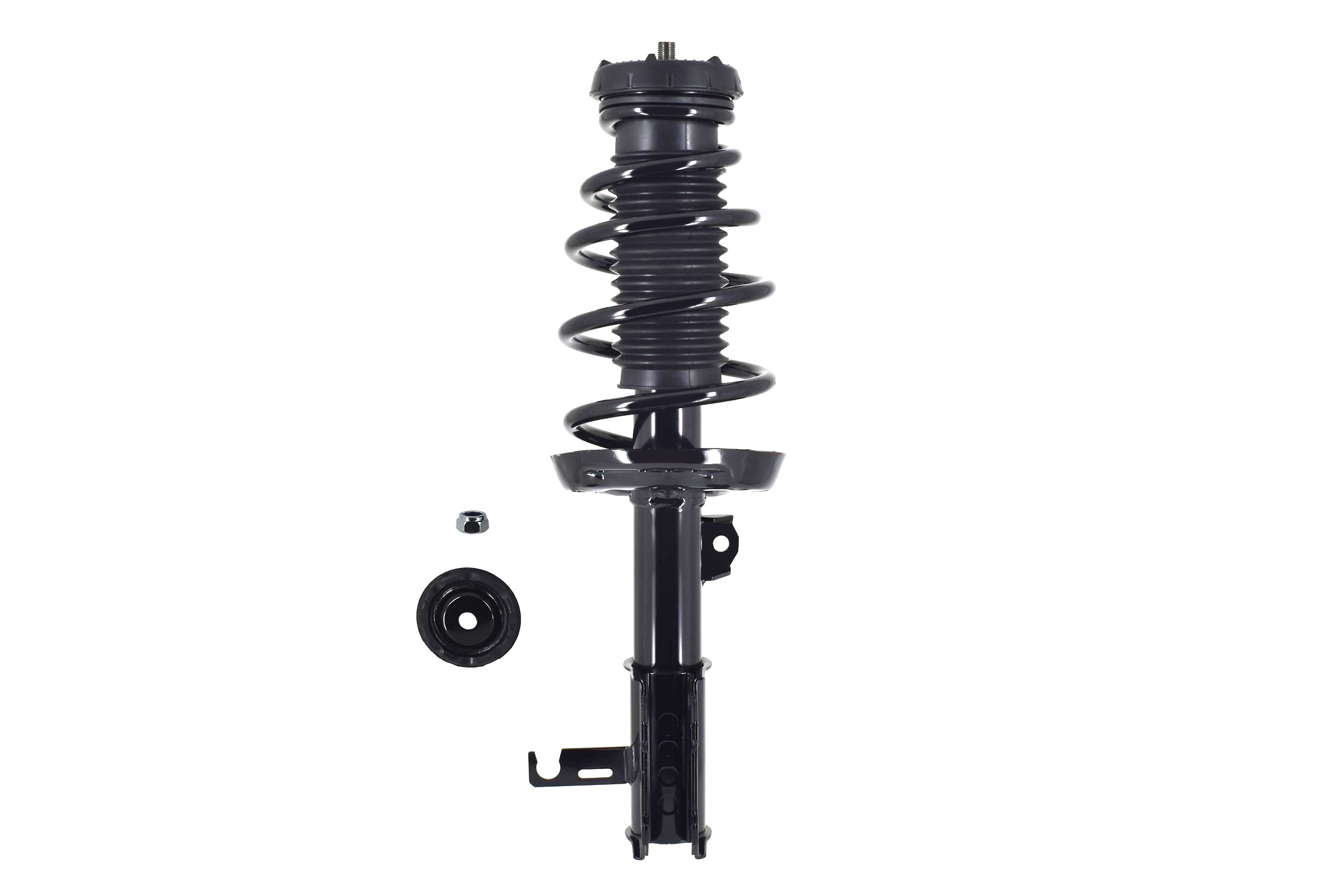 Suspension Strut and Coil Spring Assembly