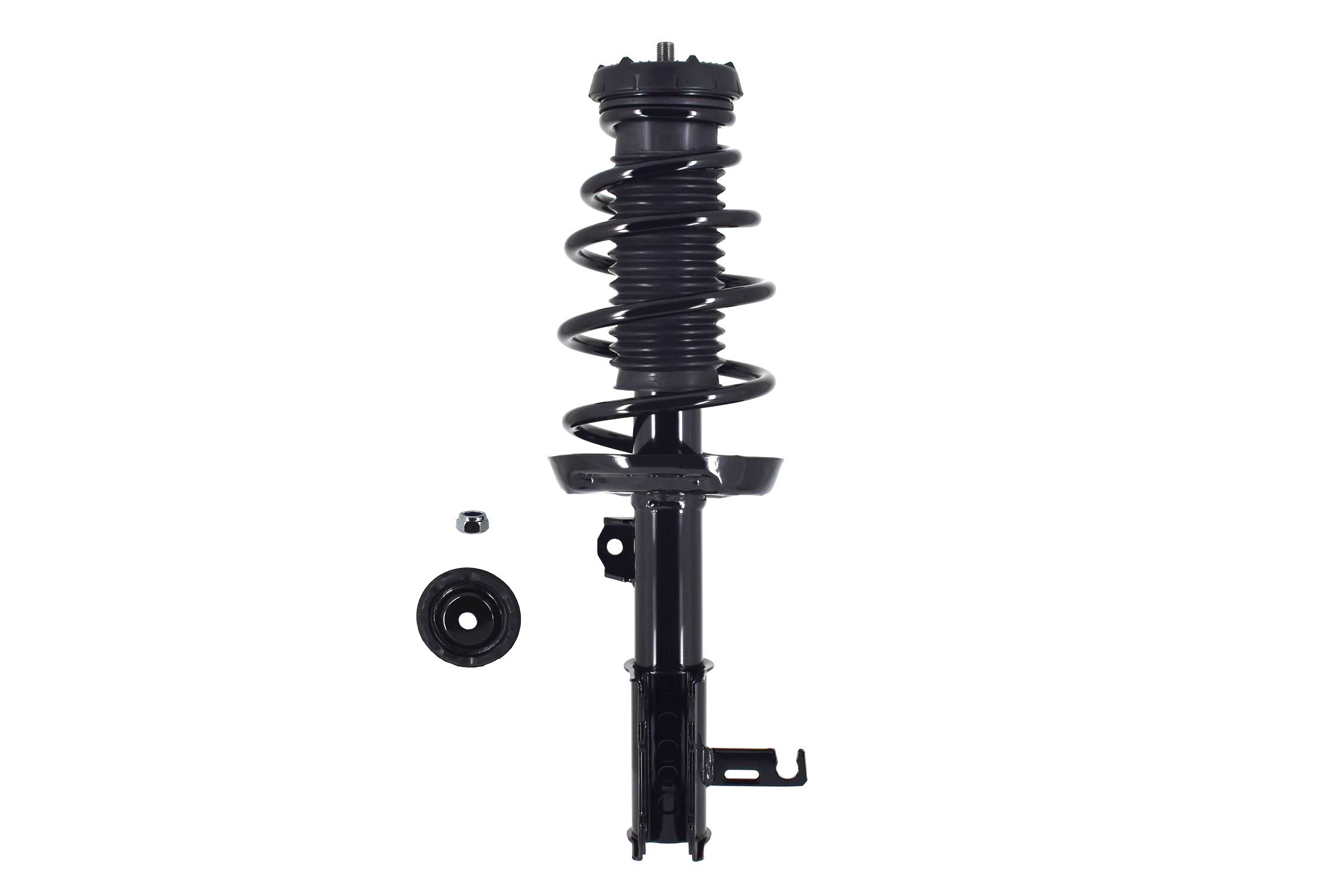 Suspension Strut and Coil Spring Assembly