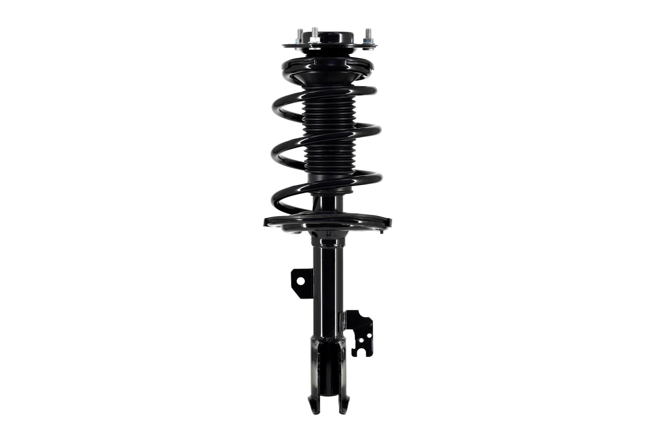 Suspension Strut and Coil Spring Assembly